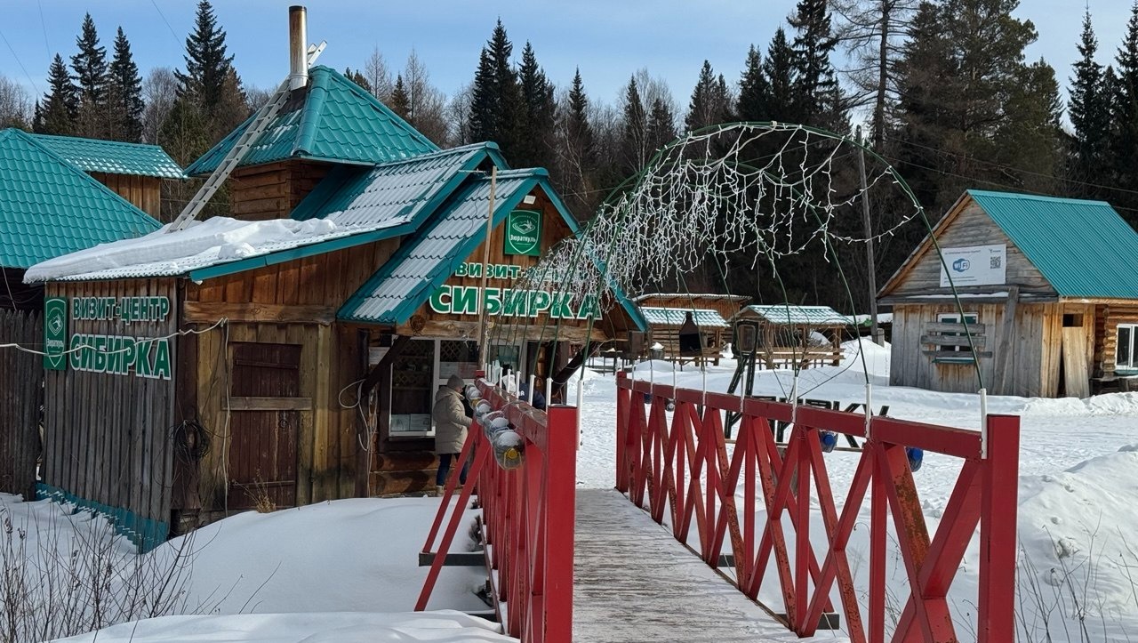 Елены Колоколовой.  «Общественная электронная газета».