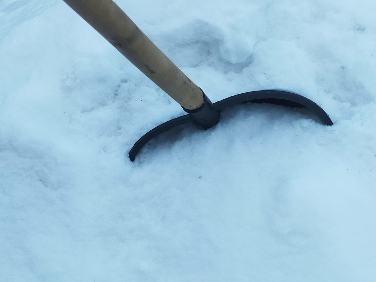 Васили Саитовой.