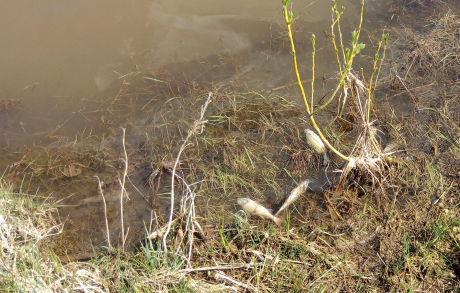 Фото предоставлено Виктором Валуевым.