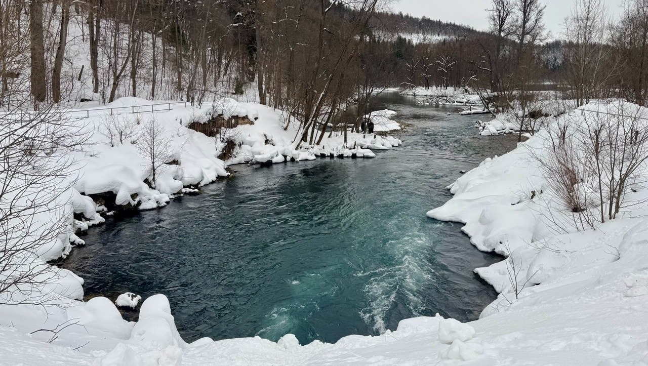 Елены Колоколовой. «Общественная электронная газета».