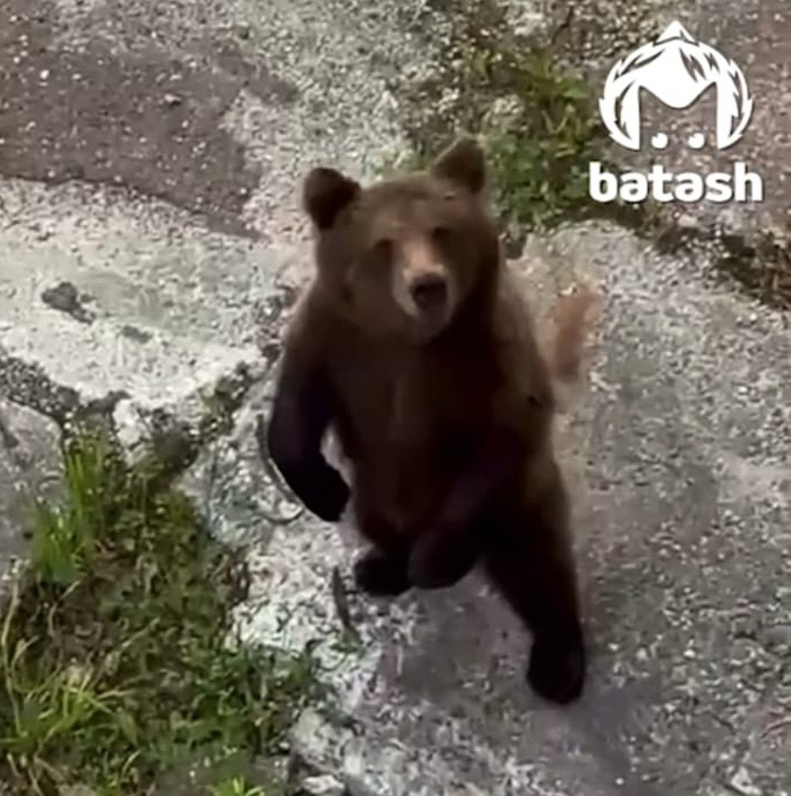 скриншот видео.