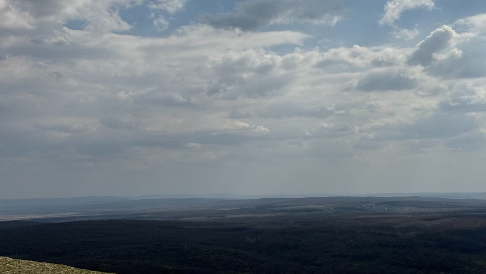 Елены Колоколовой.