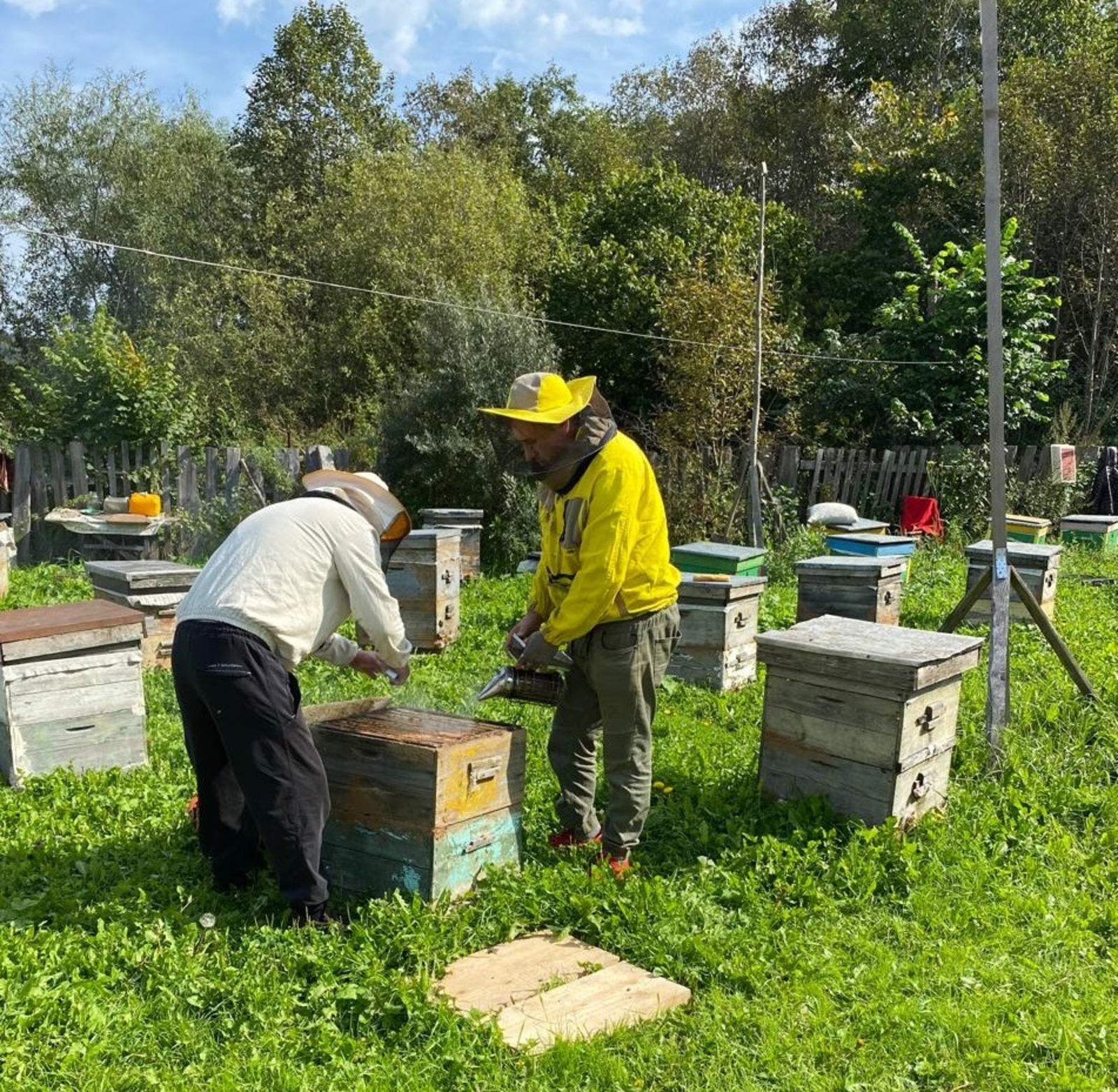 сайт правительства РБ.
