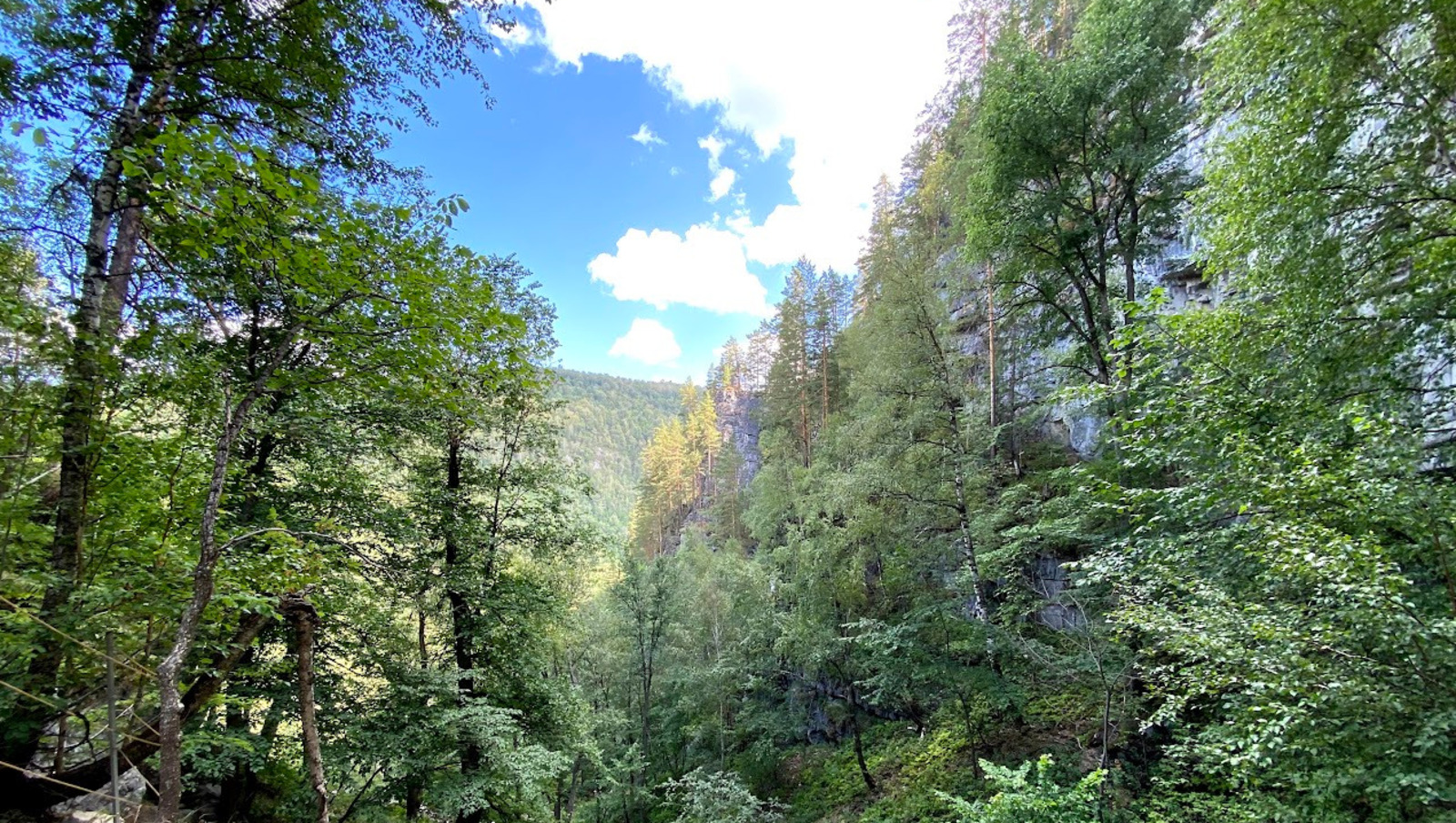 Елены Колоколовой.