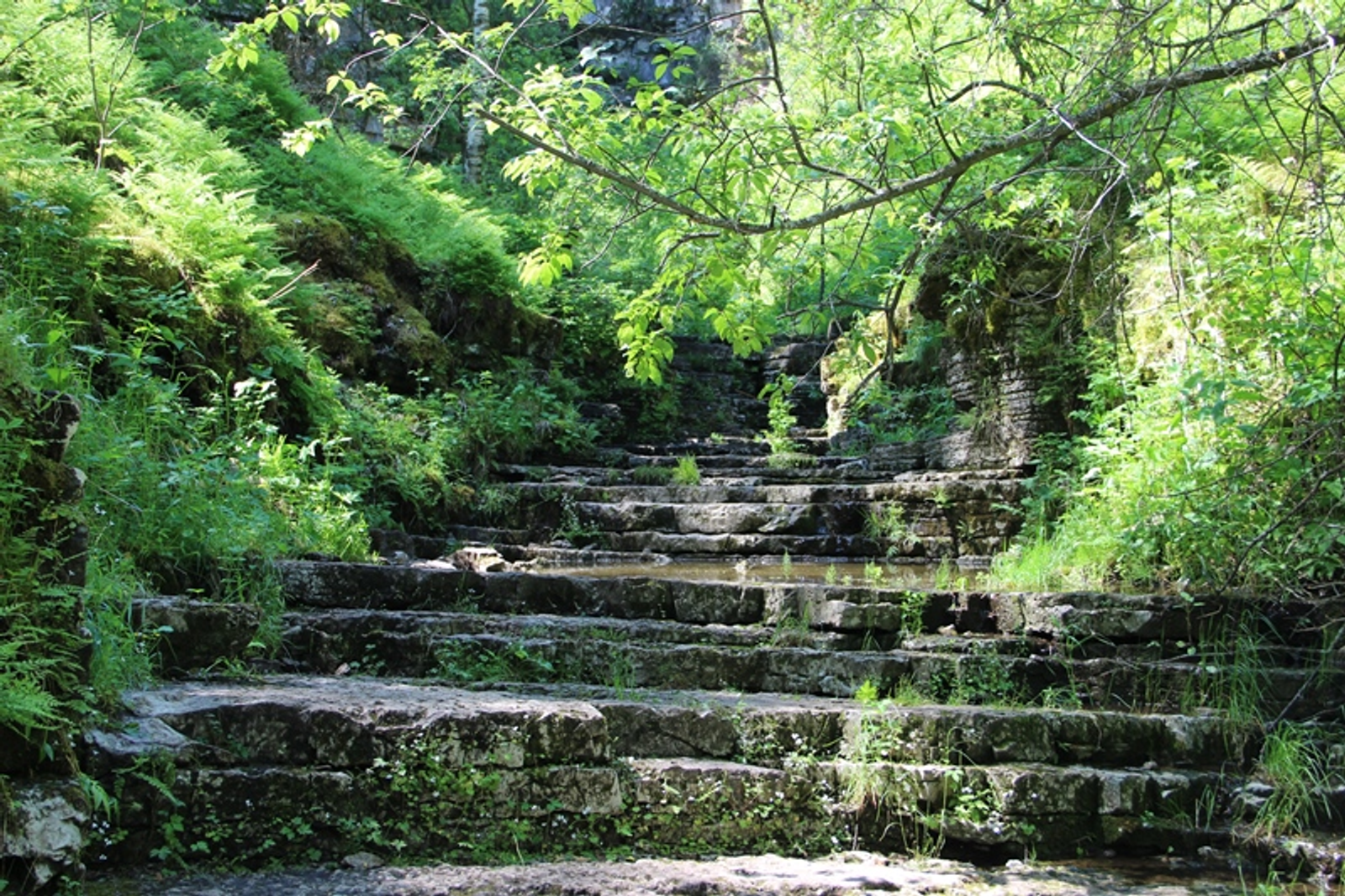 Фото автора.