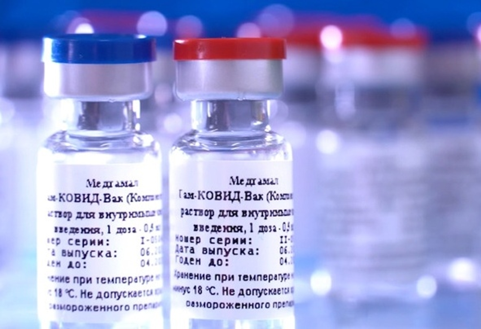 Фото: Vk, личная страница Радия Хабирова.