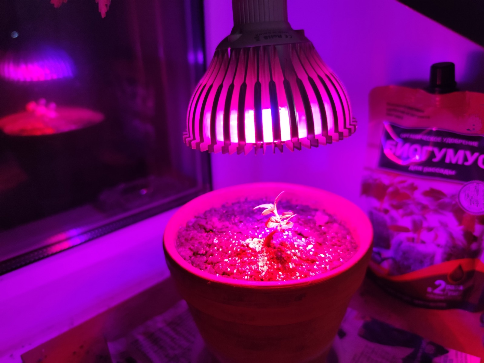 Дарьи Святохиной. «Общественная электронная газета».