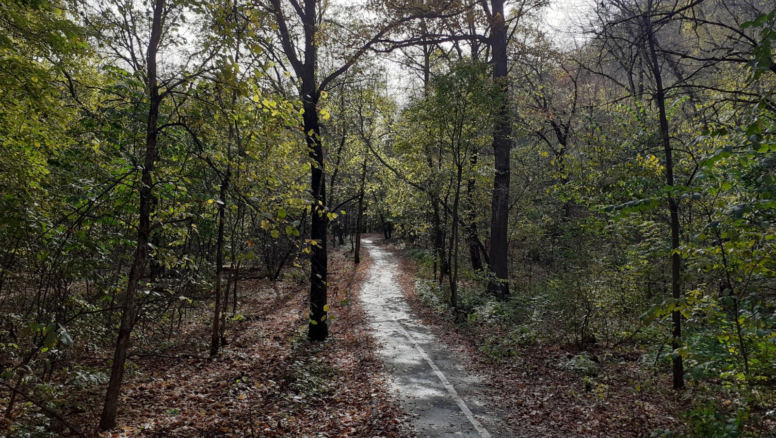 Владимира Шакиева.