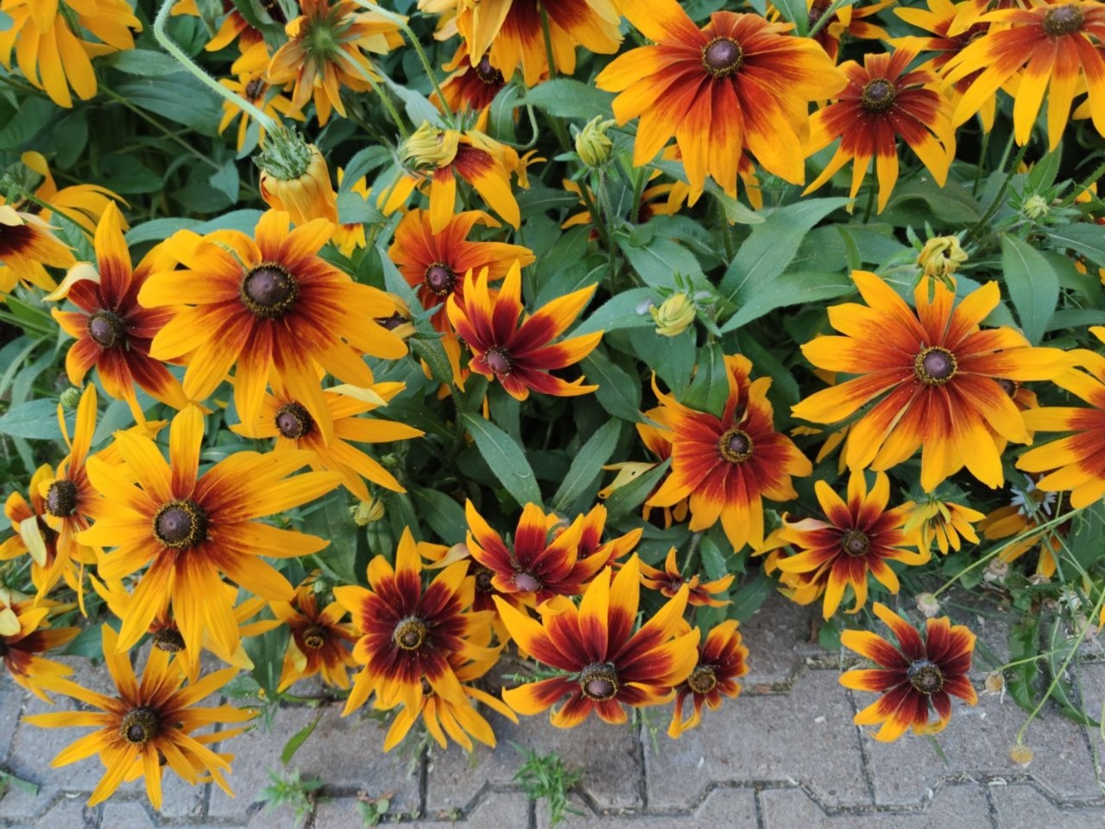 Дарьи Святохиной.