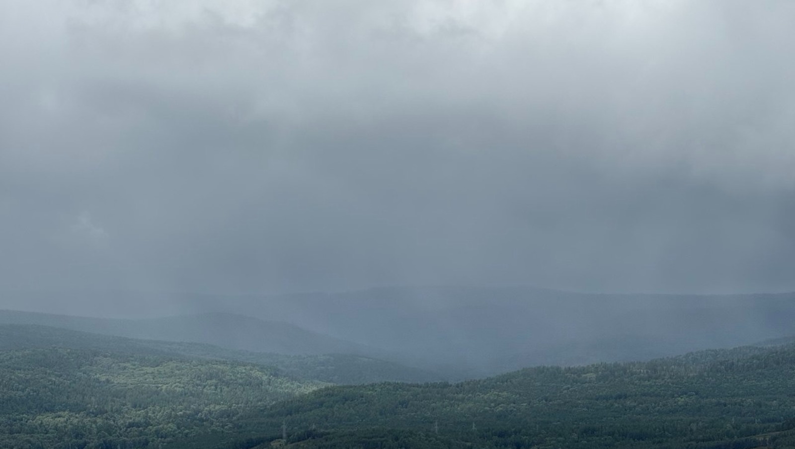 Елены Колоколовой.
