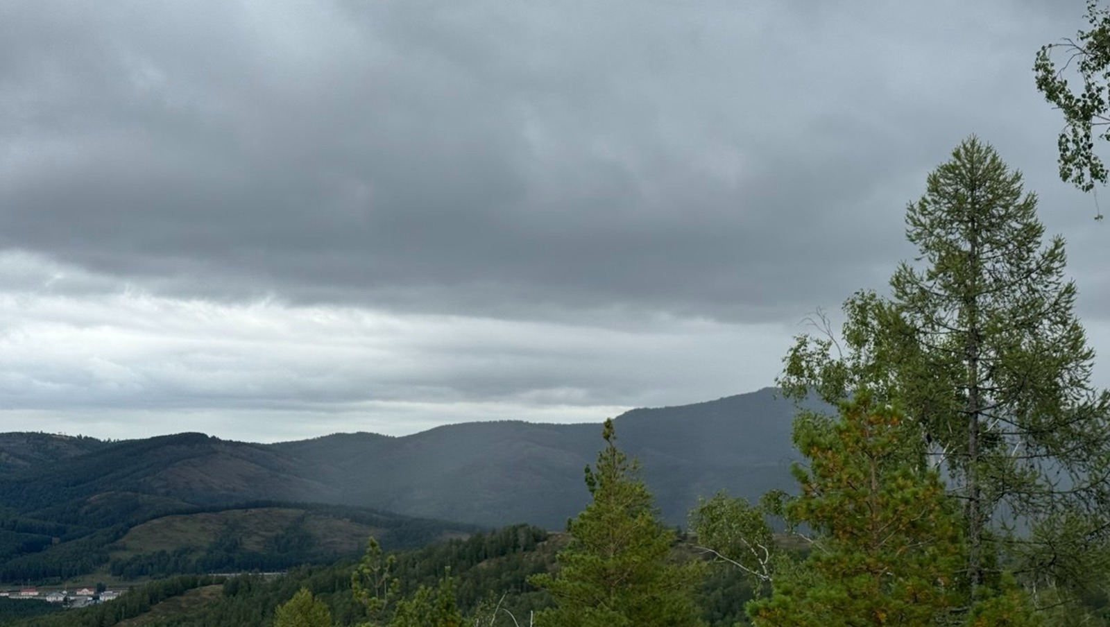 Елены Колоколовой.