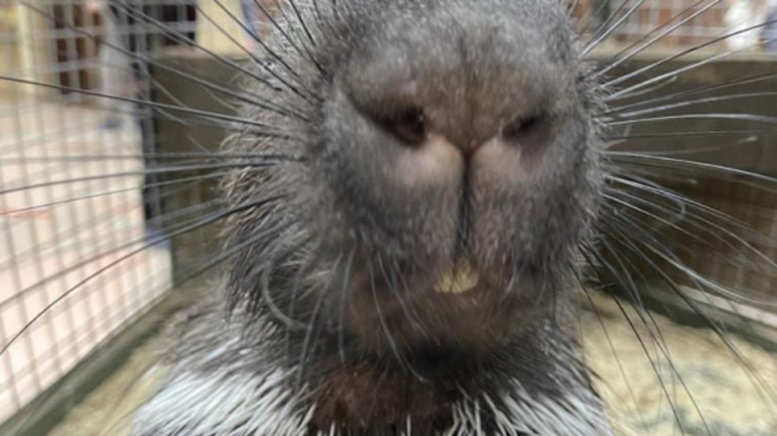 Фото со страницы Радия Хабирова в соцсетях.