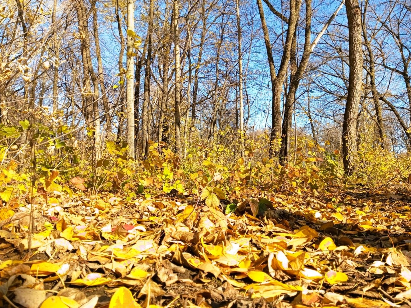 Евгении Сюткиной.