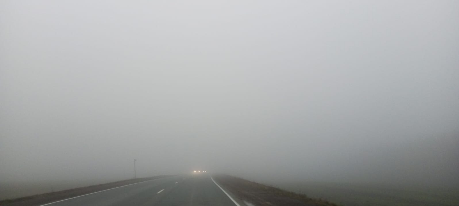 Евгении Сюткиной. «Общественная электронная газета».