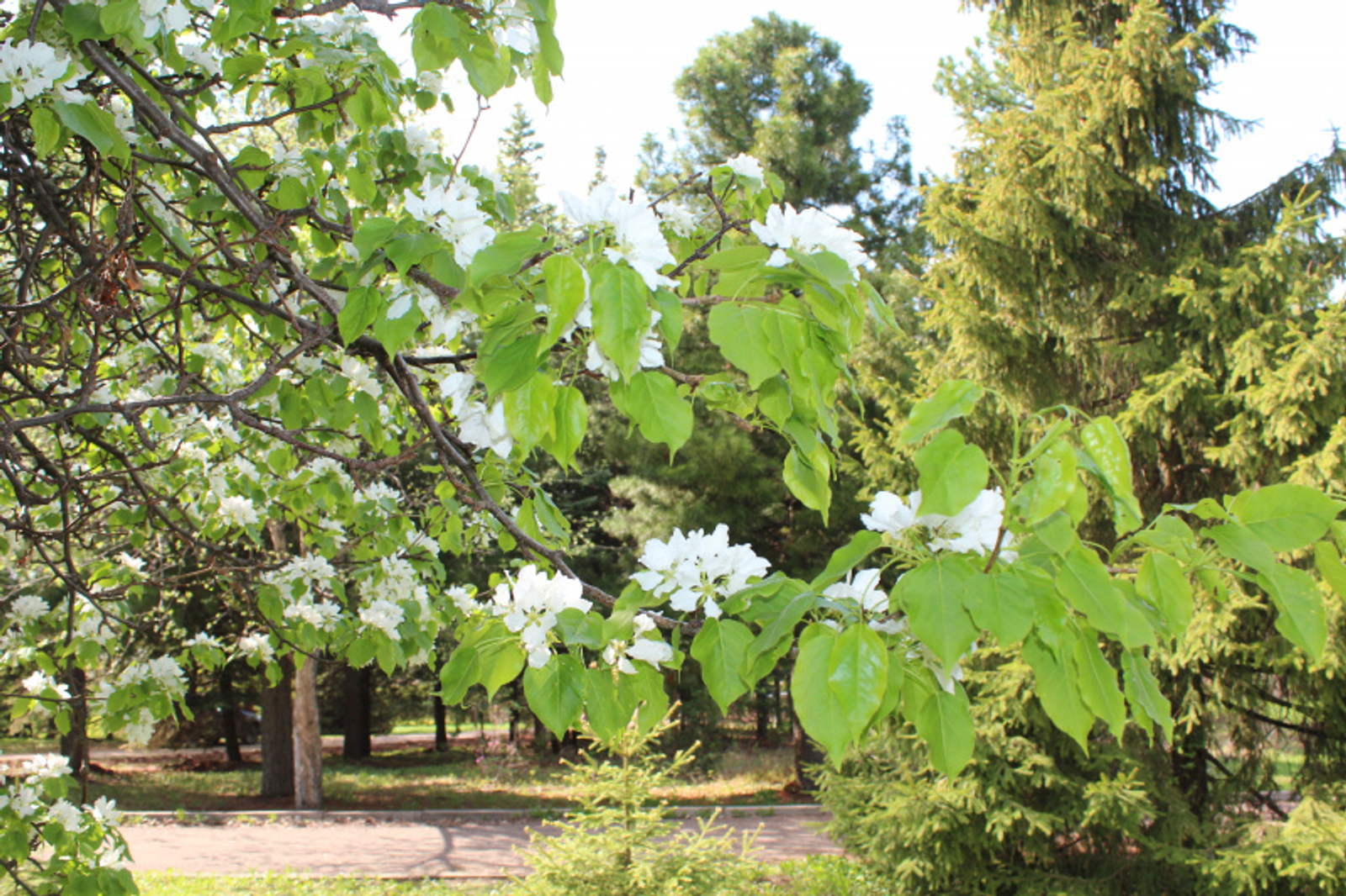 Фото автора.