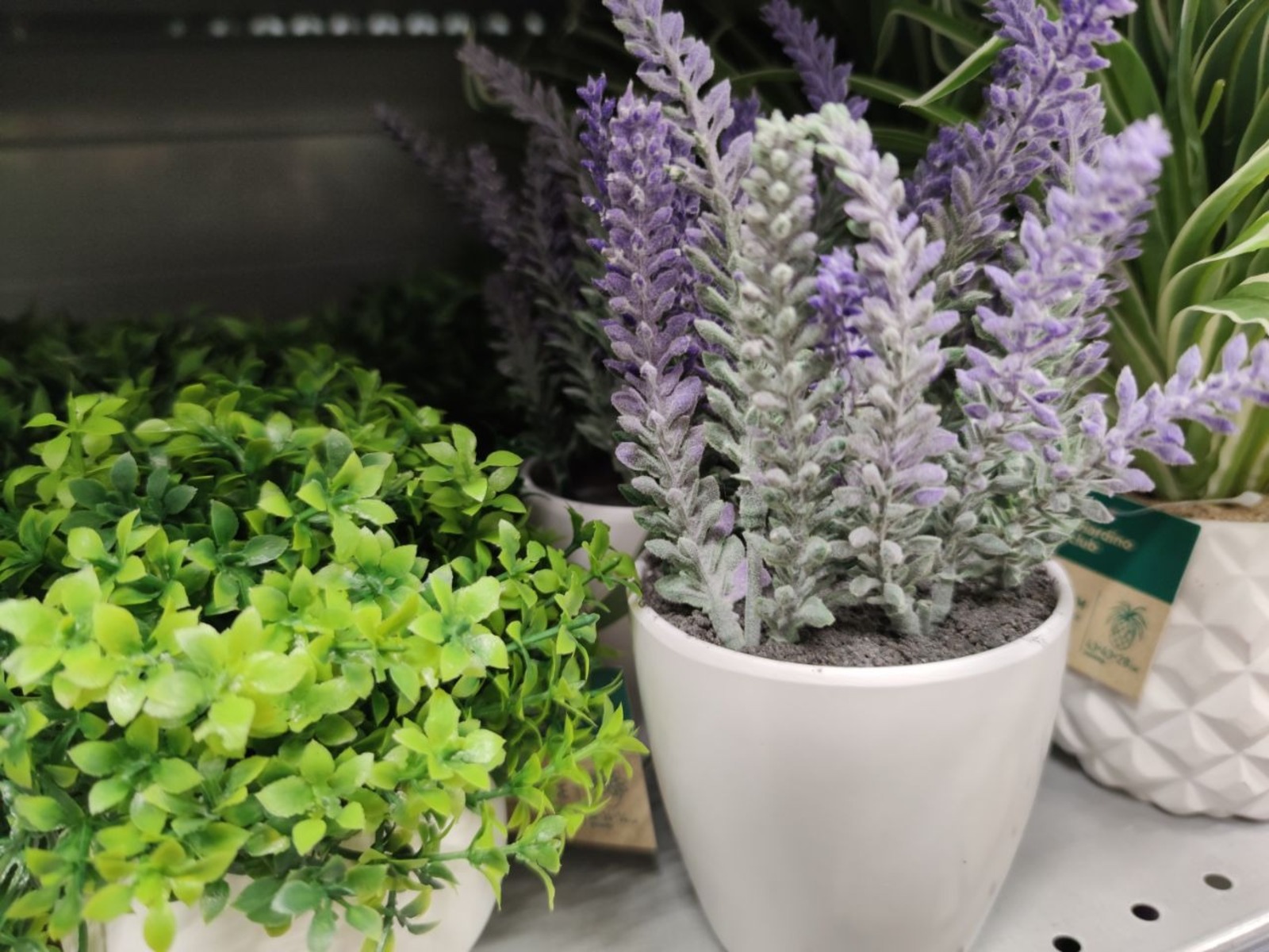 Дарьи Святохиной. «Общественная электронная газета».