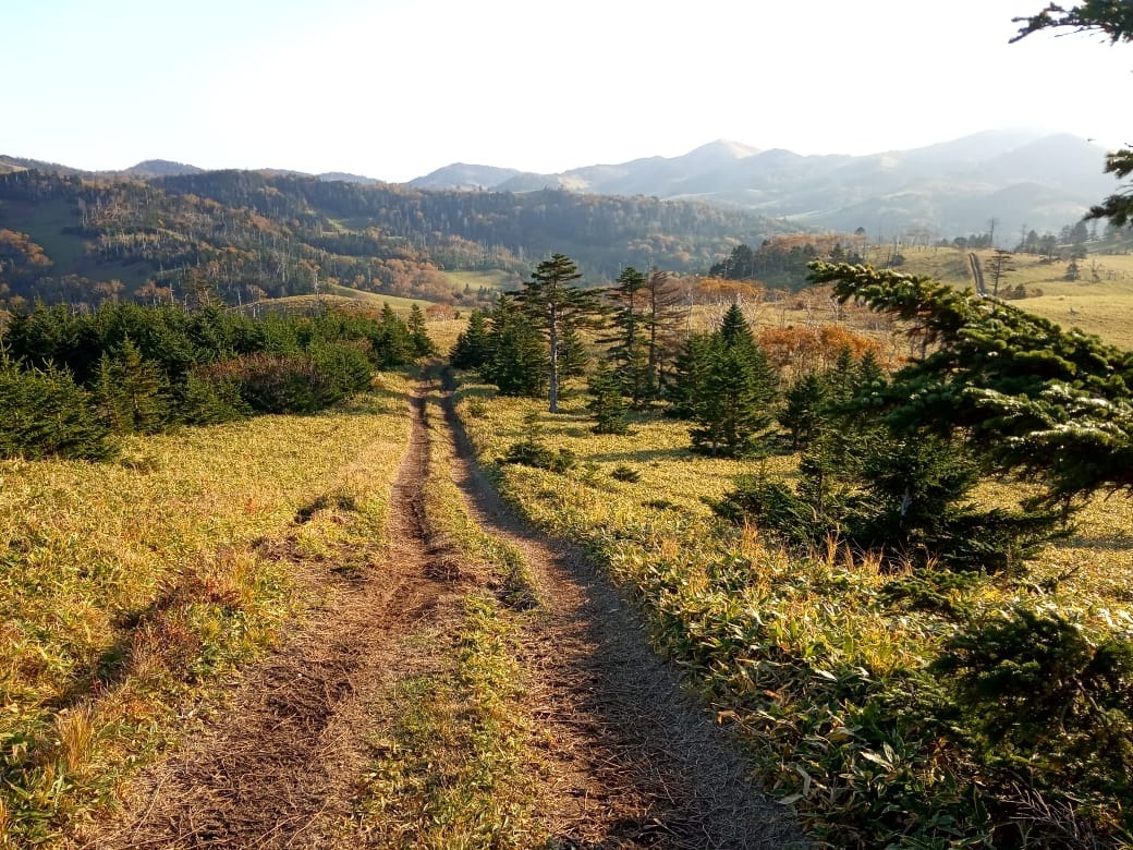 предоставлено Сергеем Сиротой.