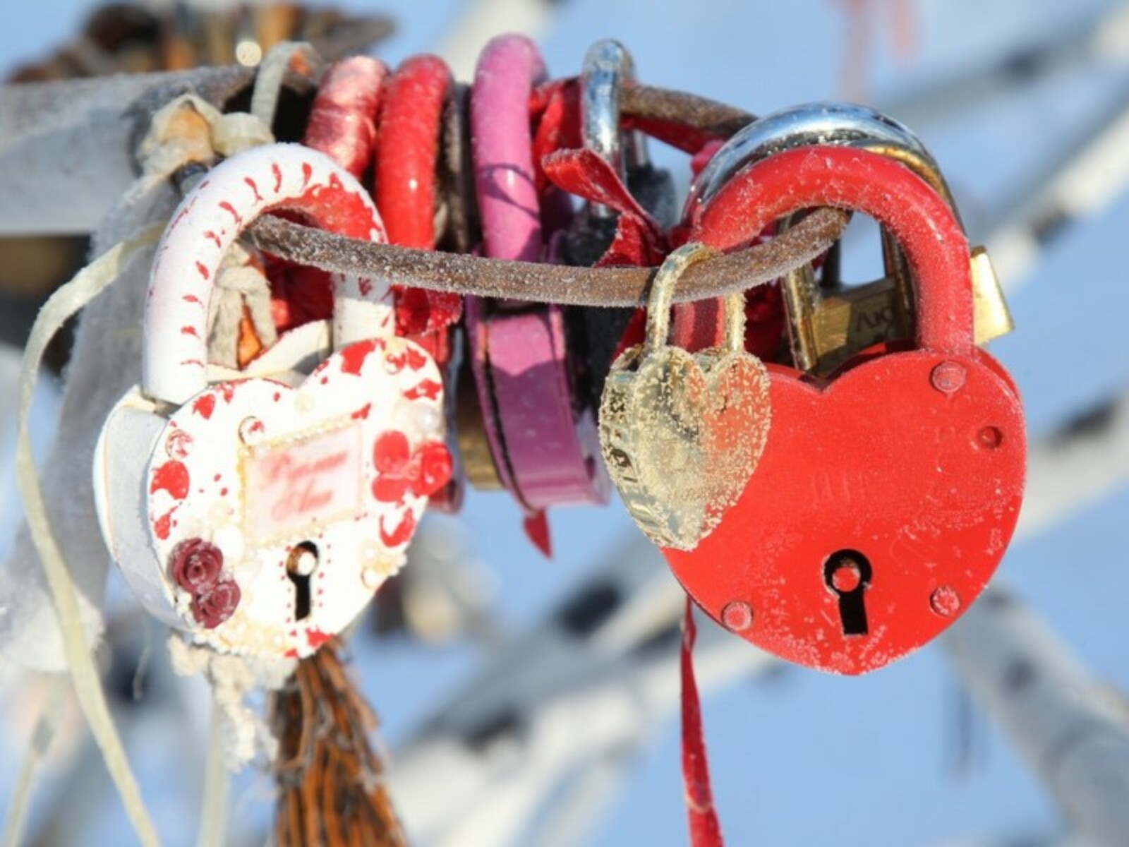 Фото Олега Яровикова.