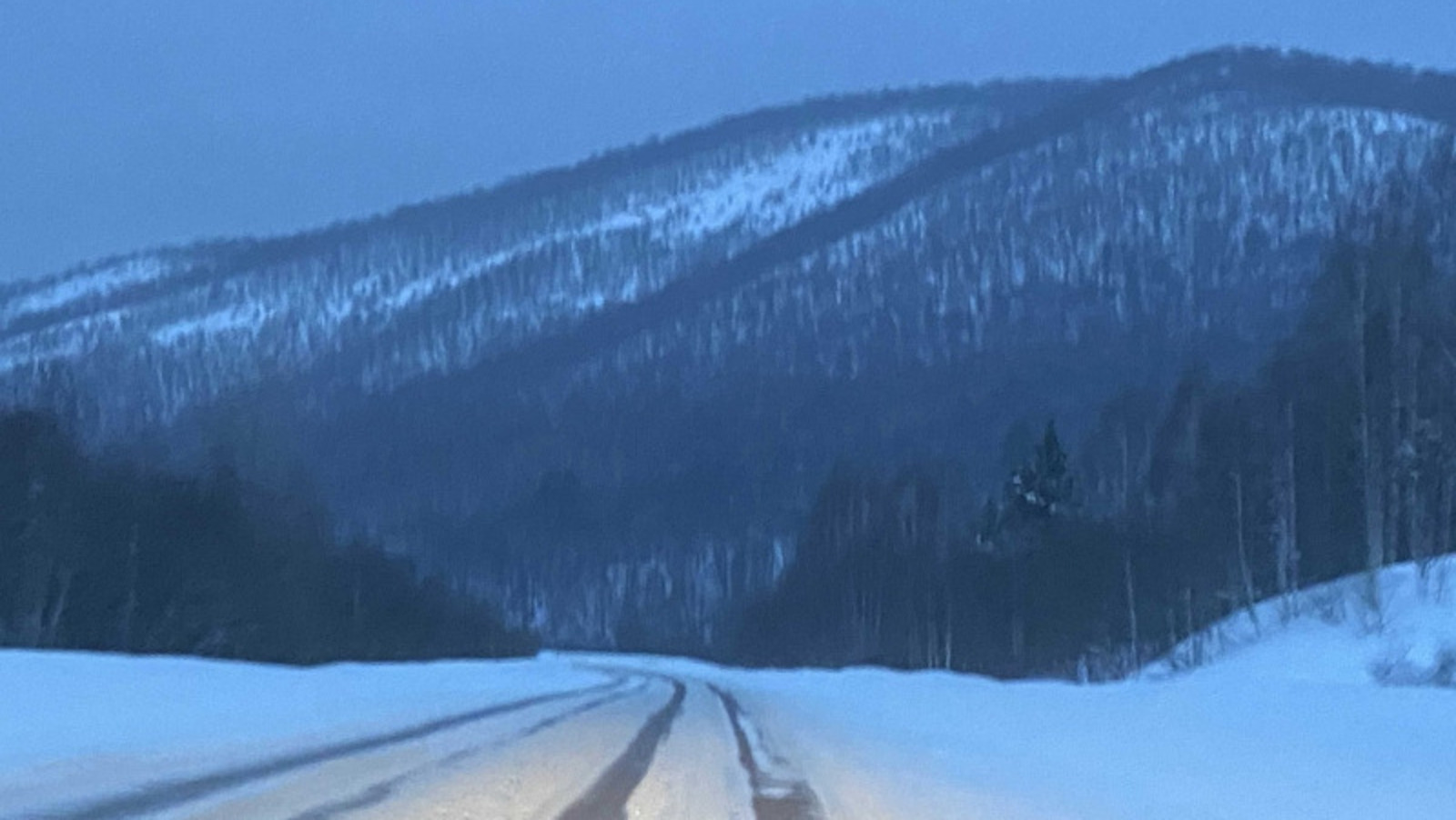 Елены Колоколовой.