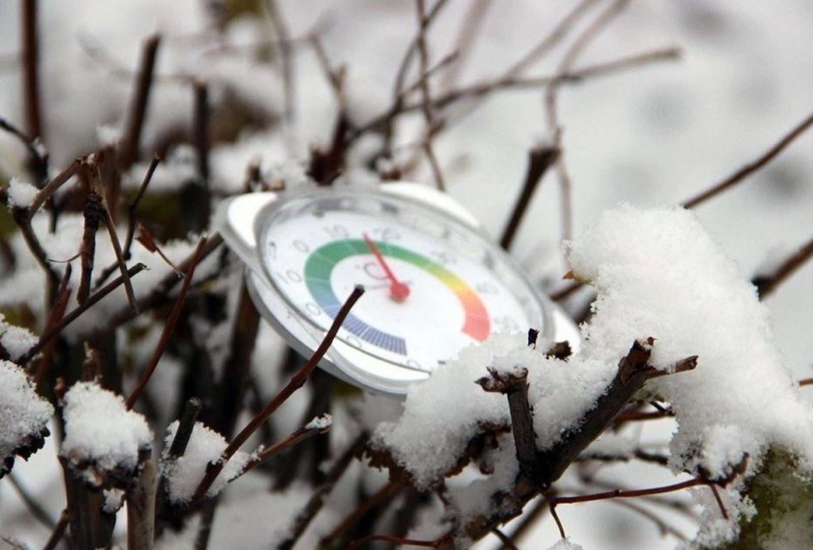 ИА «Башинформ». ИА «Башинформ».