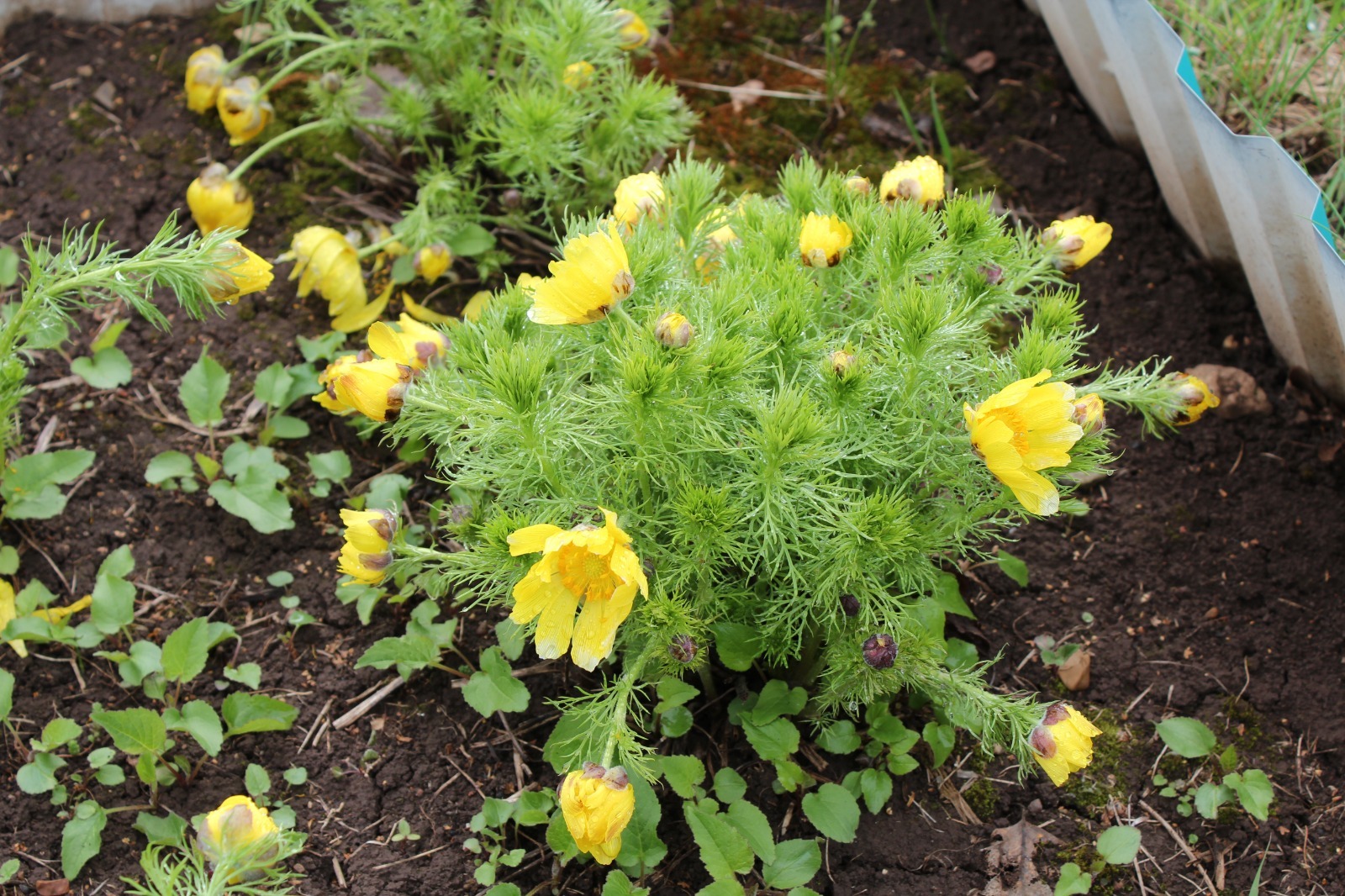 Дарьи Святохиной.