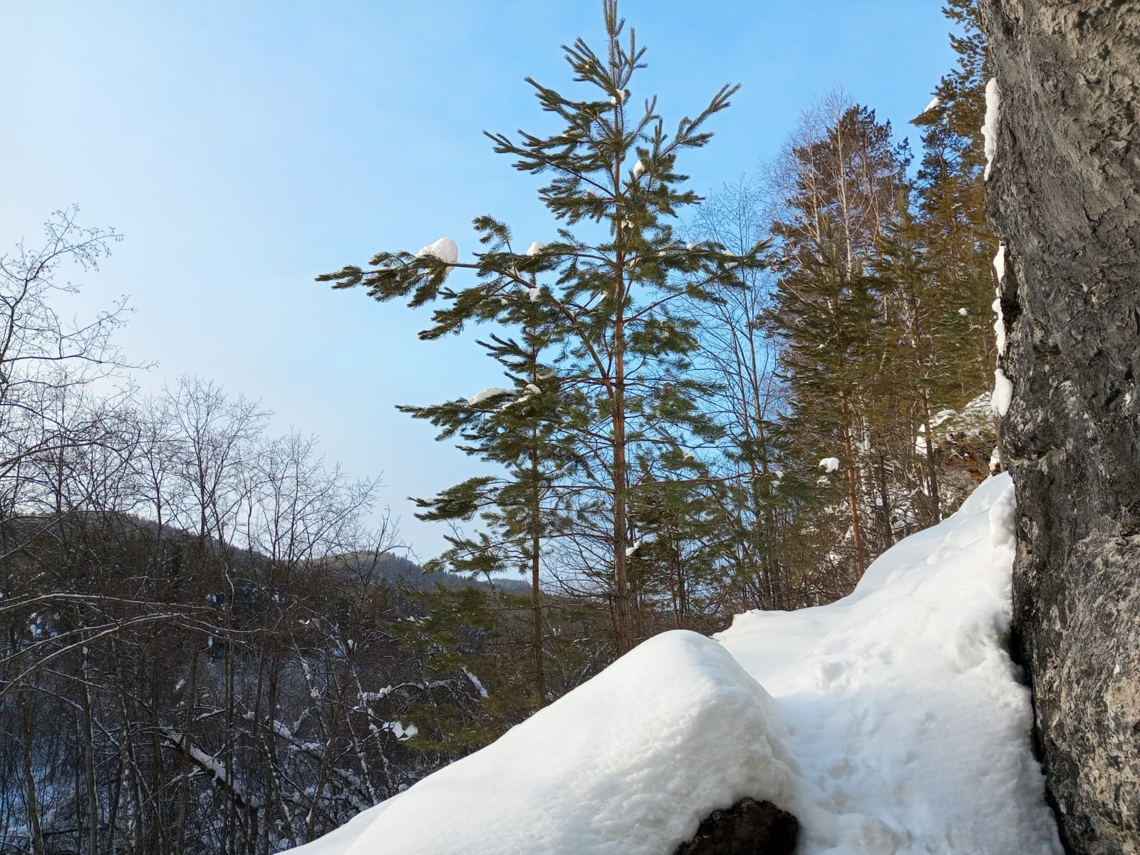 Евгении Сюткиной.