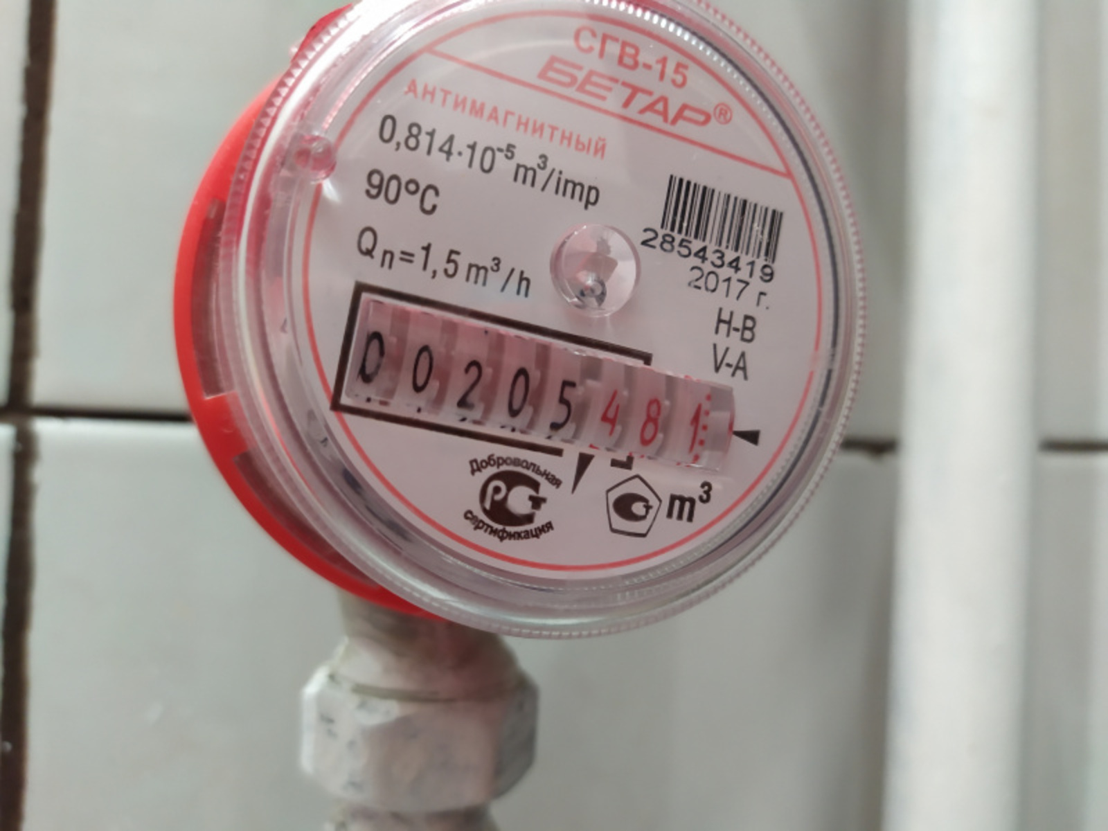 Фото Васили Саитовой.