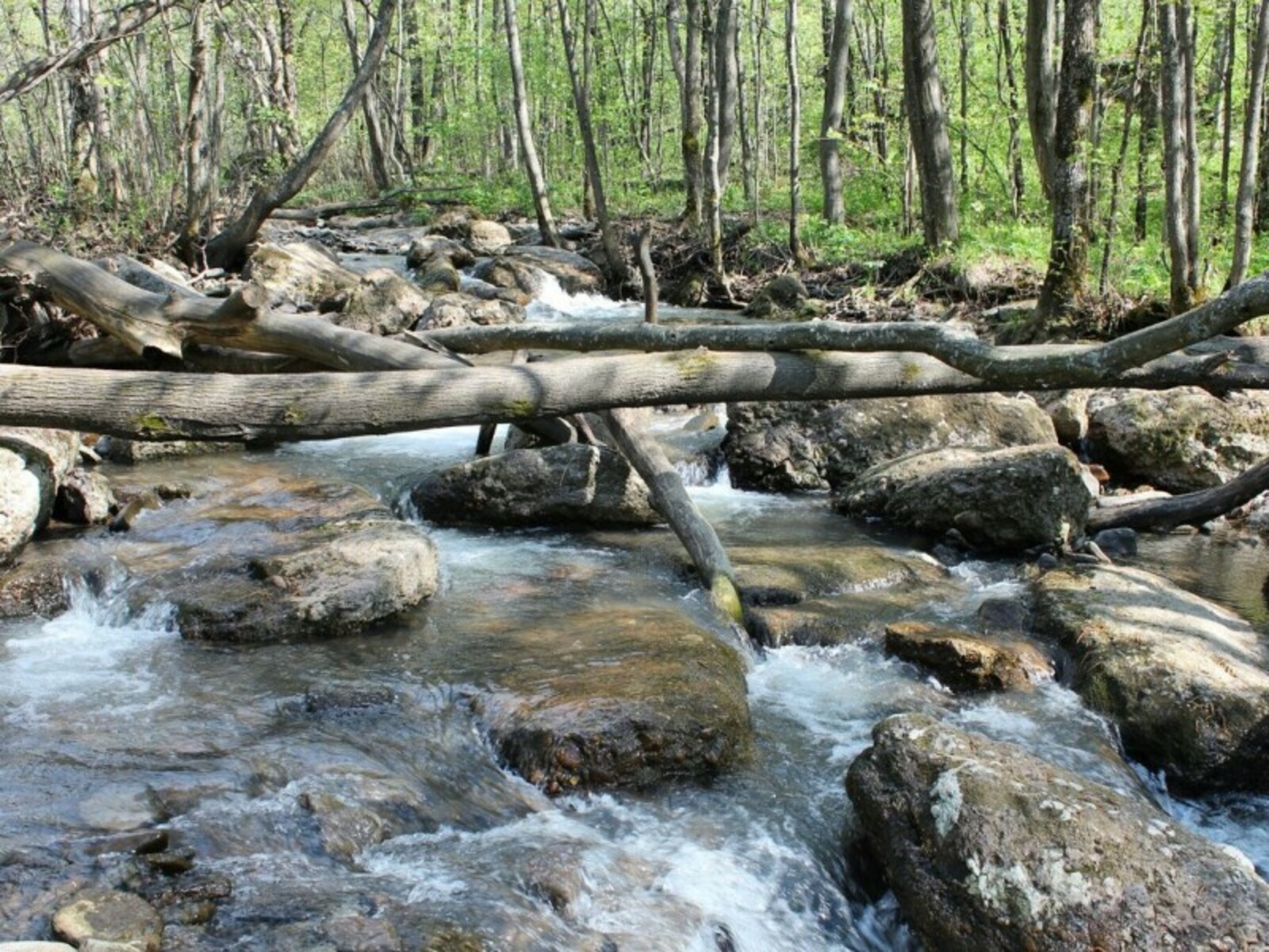 Фото автора.