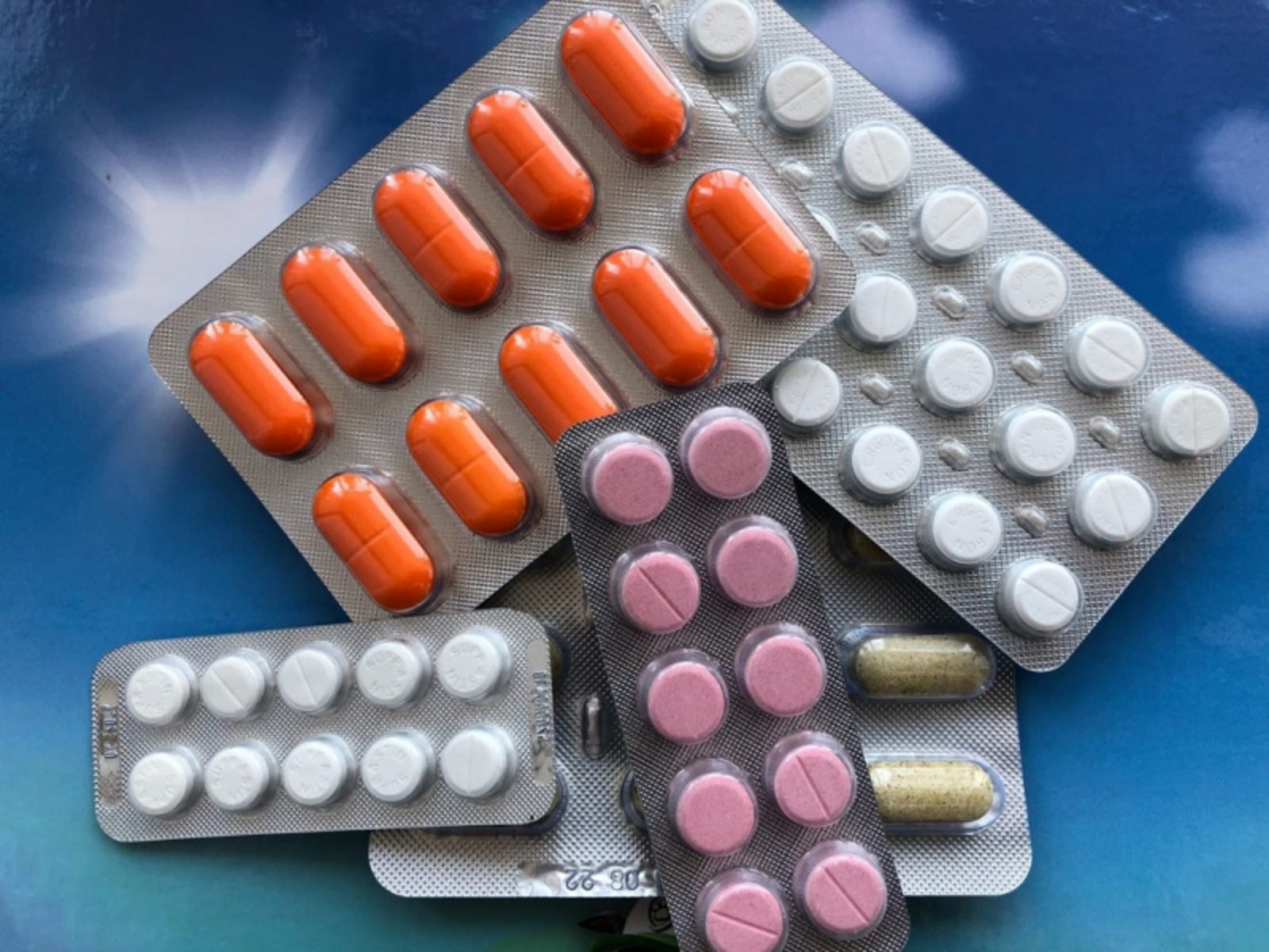 Фото Елены Колоколовой.