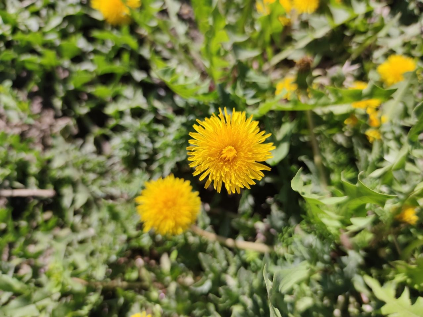Дарьи Святохиной. «Общественная электронная газета».