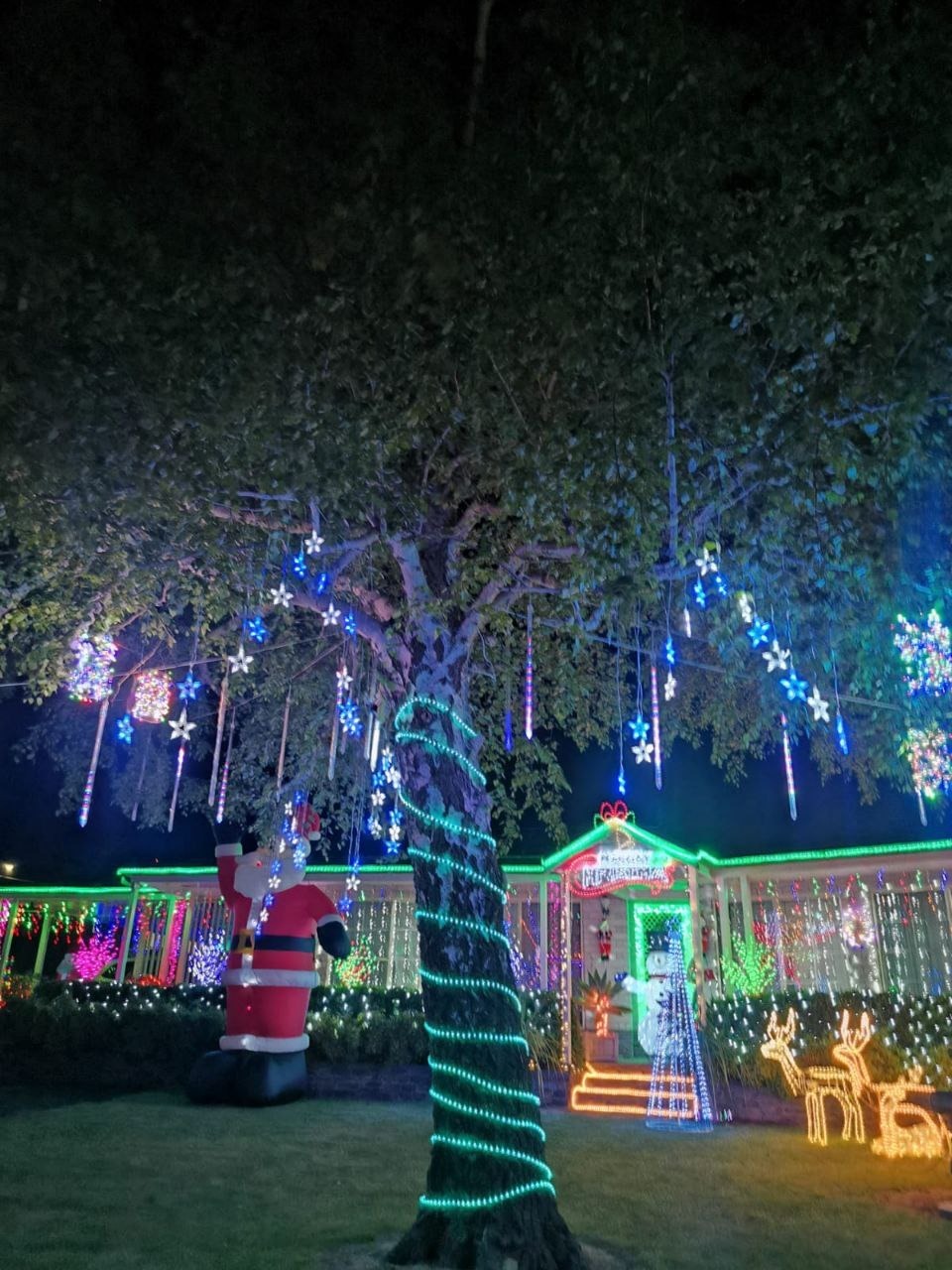 предоставлено Ольгой Калининой. предоставлено Ольгой Калининой.