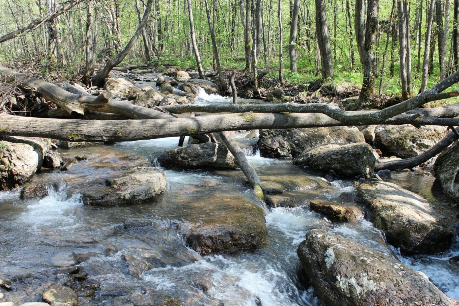 Дарьи Святохиной. «Общественная электронная газета».