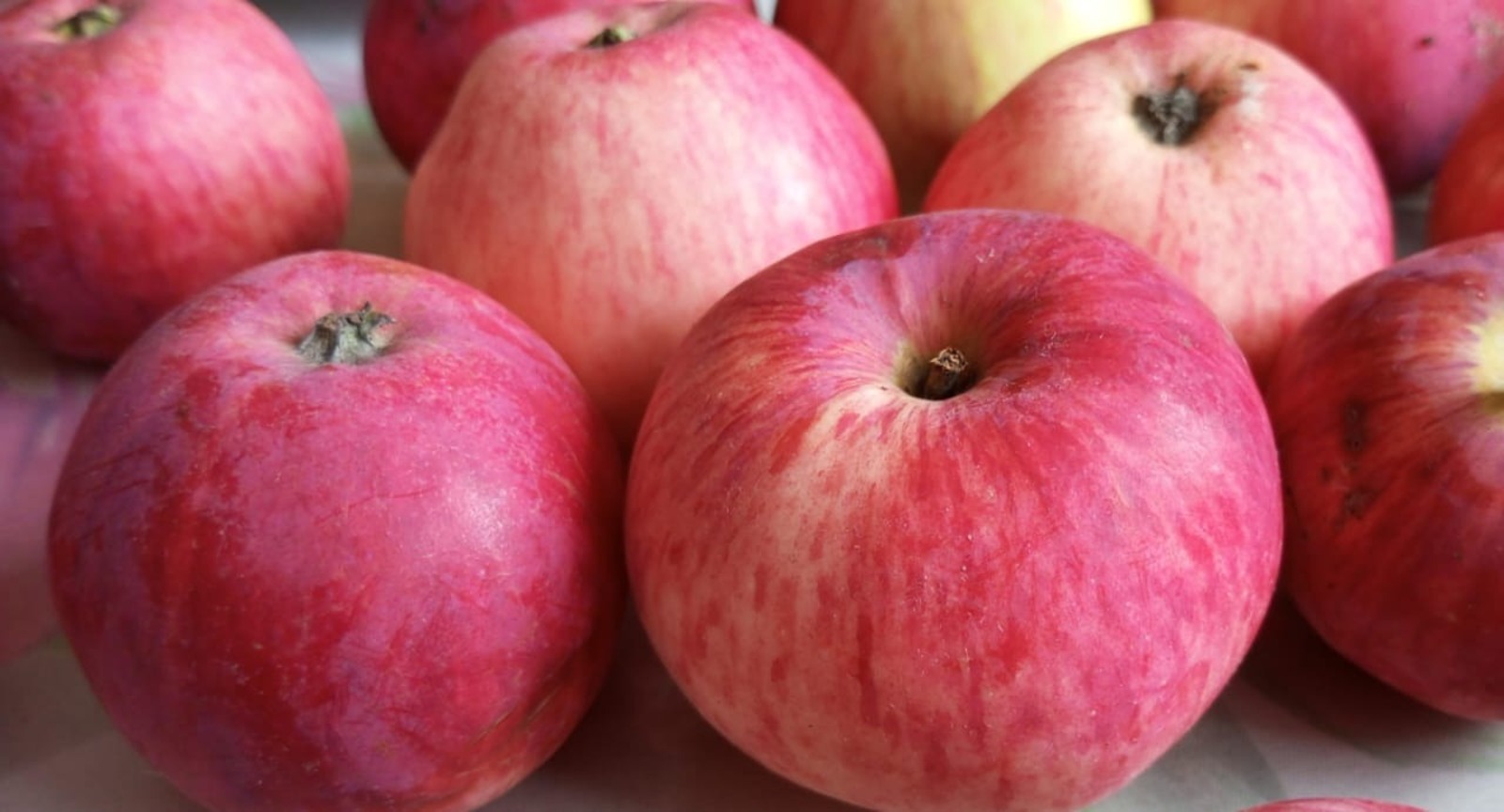 Евгении Сюткиной.