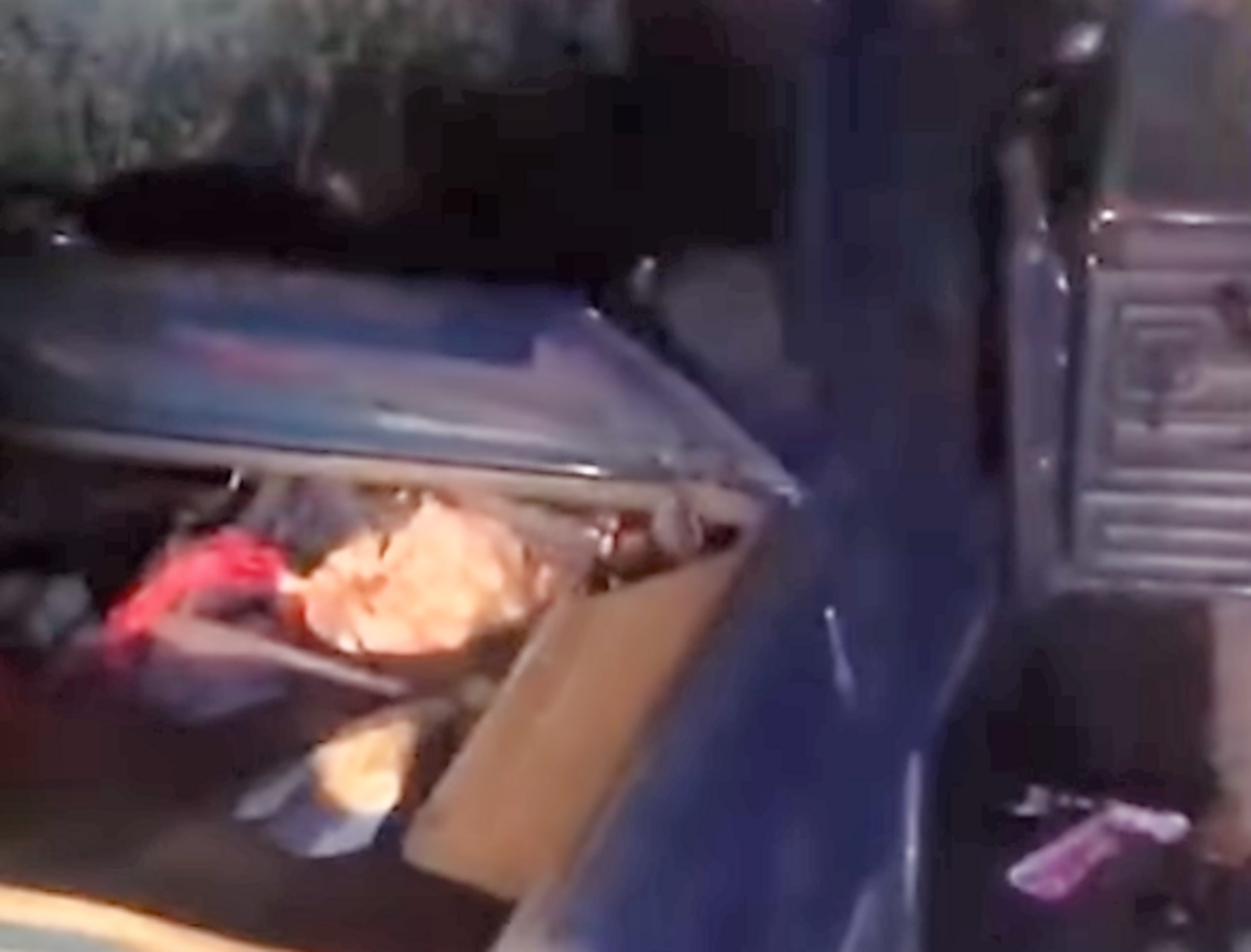 Скрин видео.