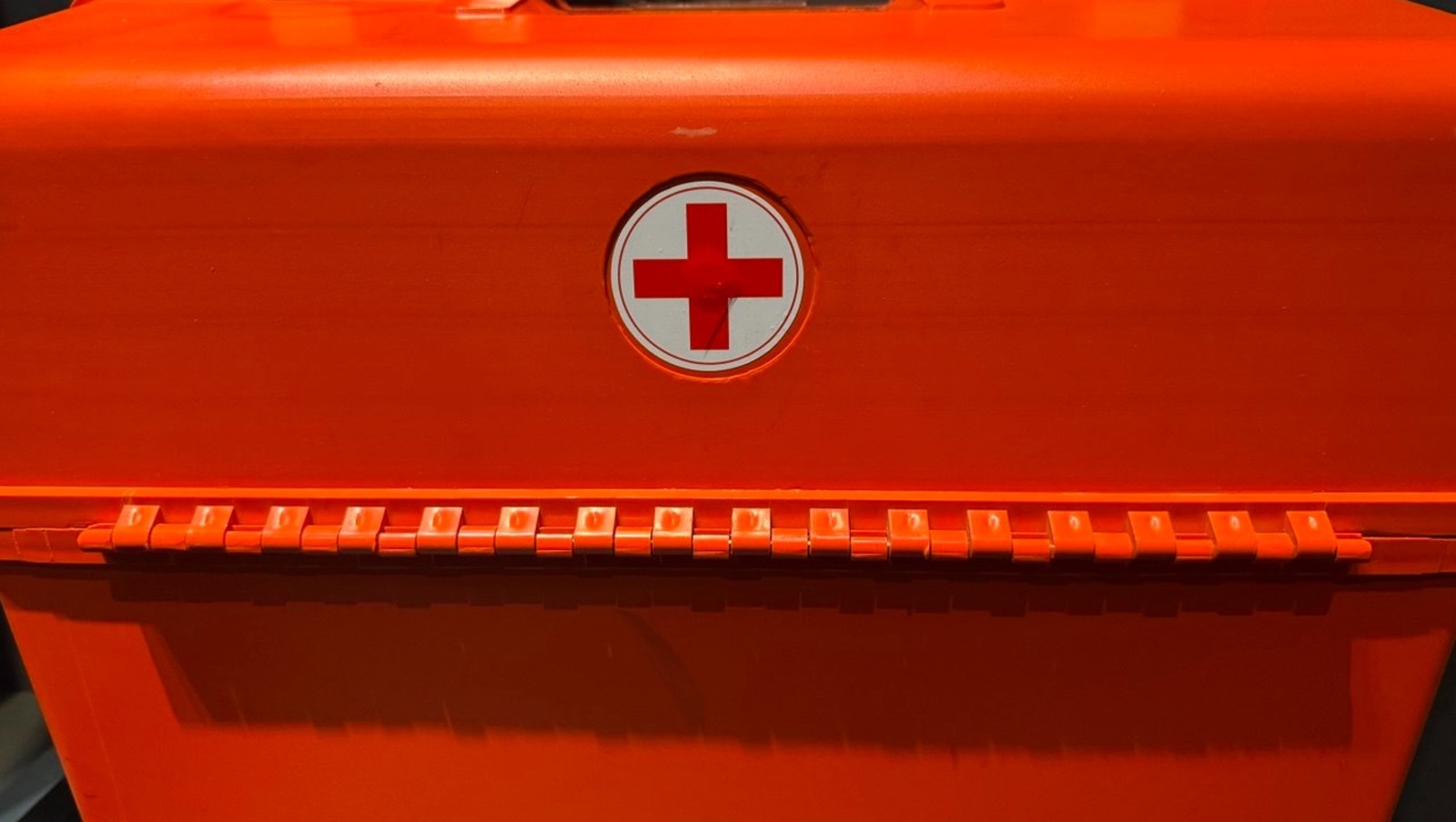 Елены Колоколовой.