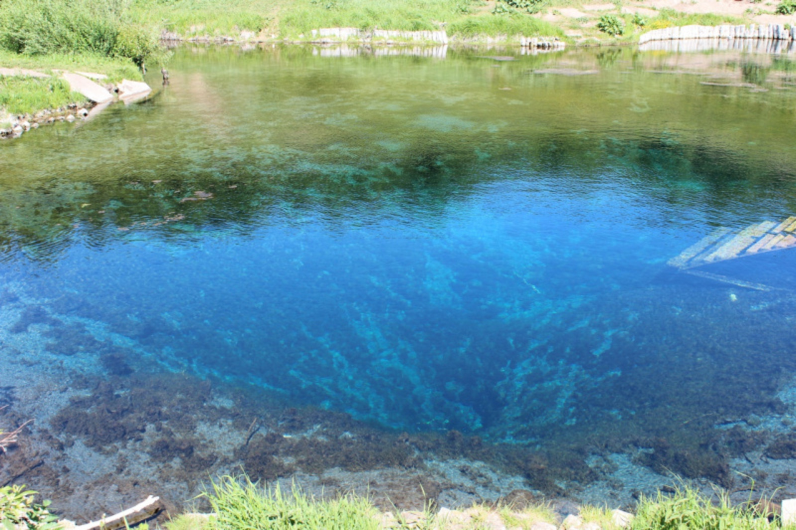 Фото автора.