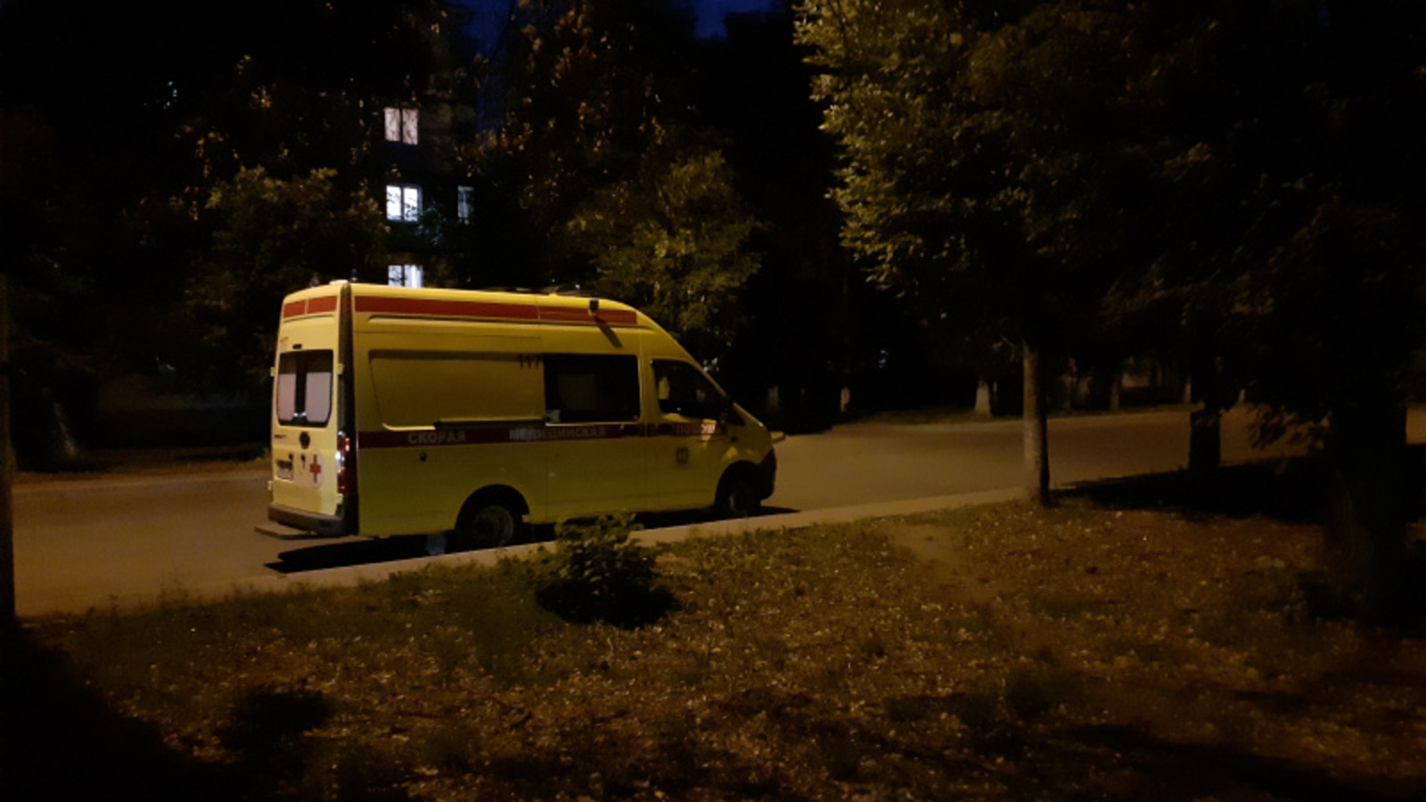 Фото автора.