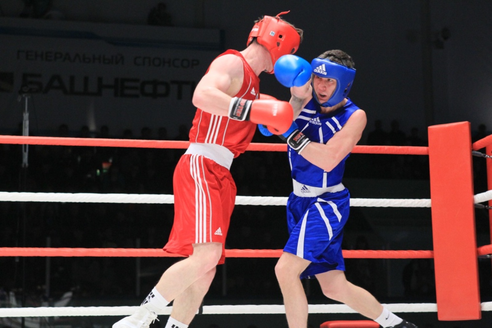 Фото Андрея Старостина.