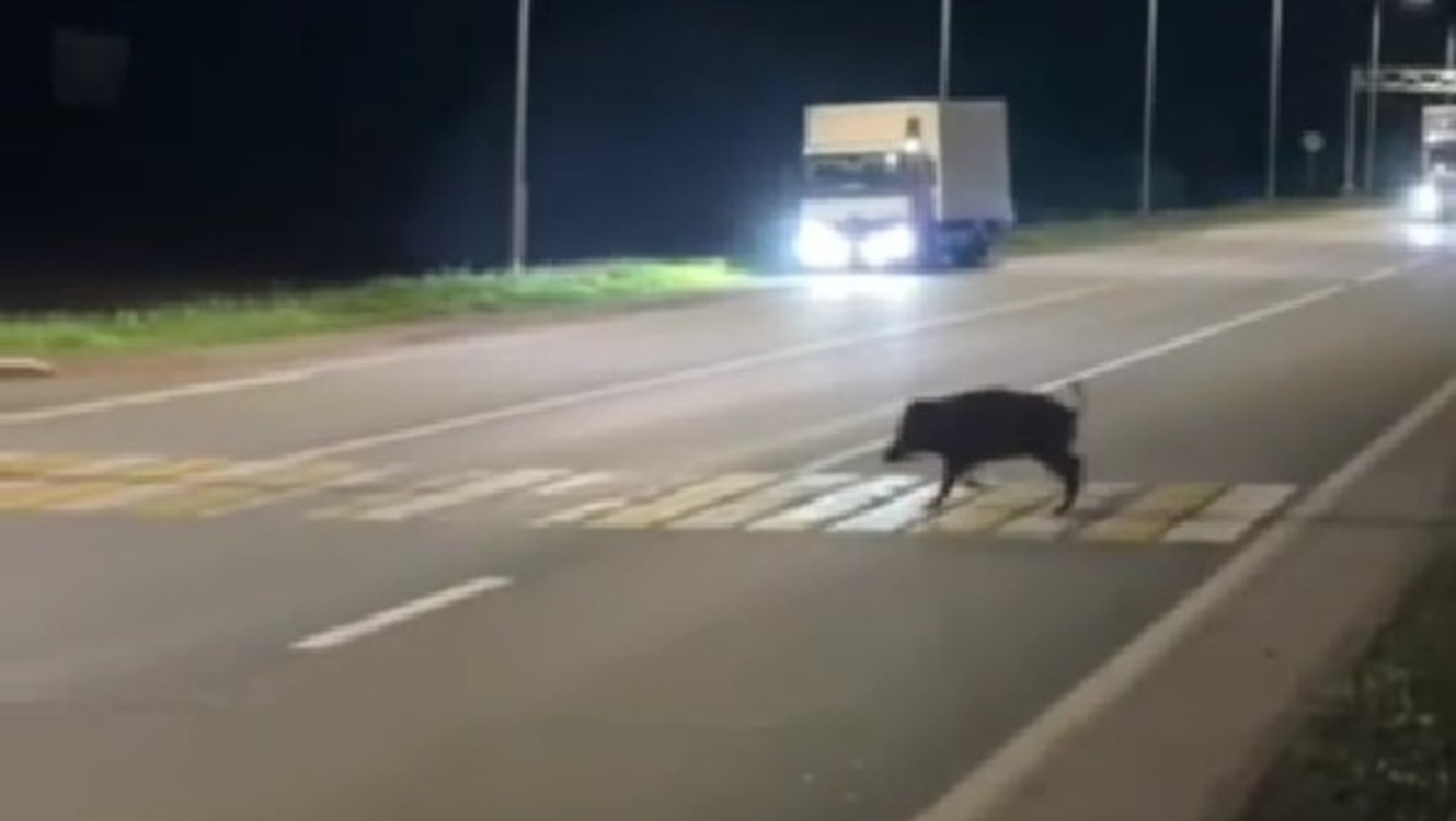 Telegram, личная страница Владимира Севастьянова, скриншот  видео.