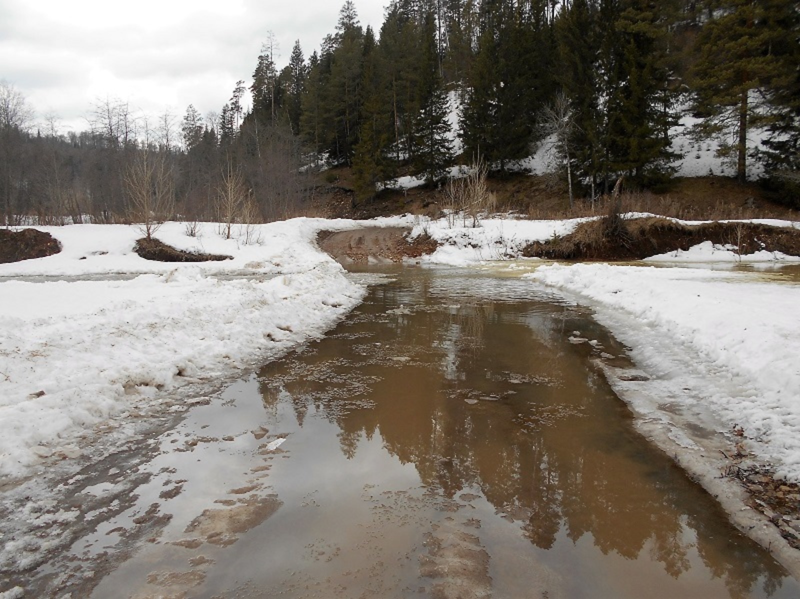 Фото предоставлено Дианой Ильиной.