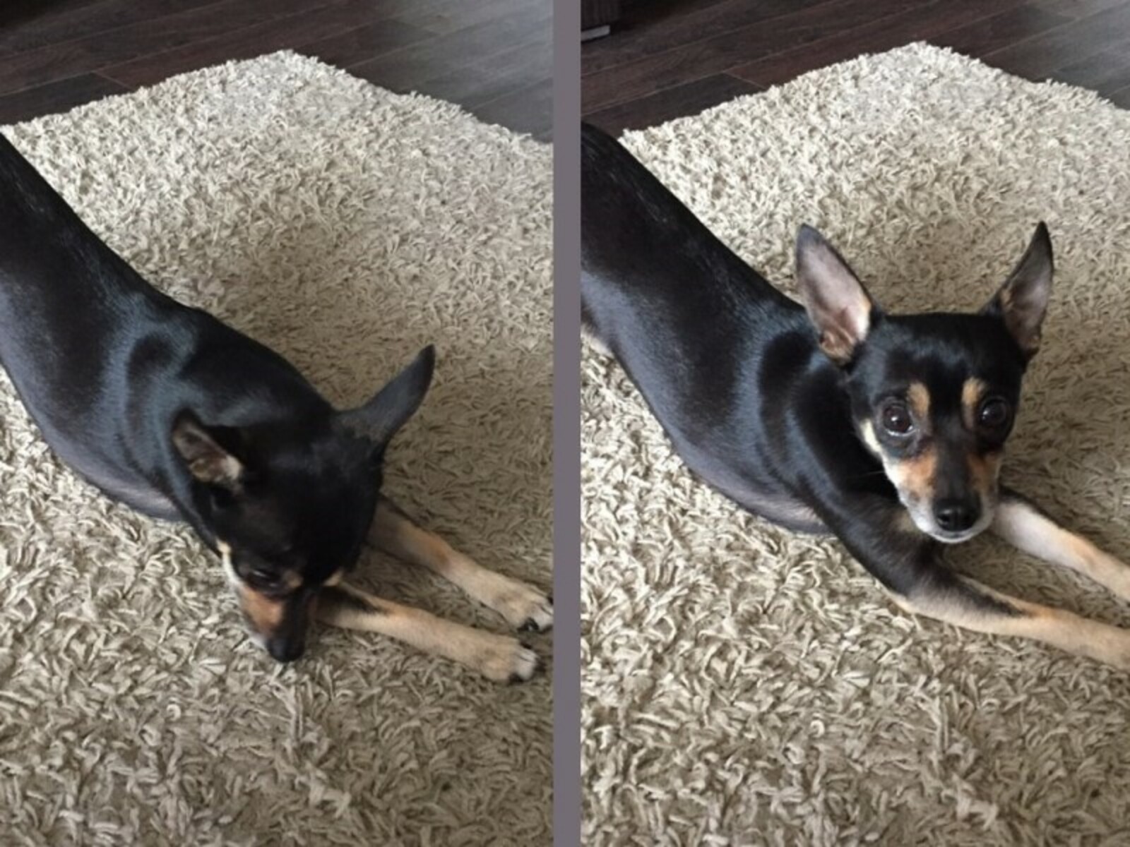 Фото предоставлено Ольгой Крючковой.