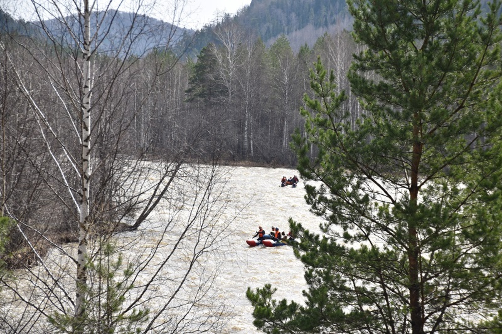 Фото автора.