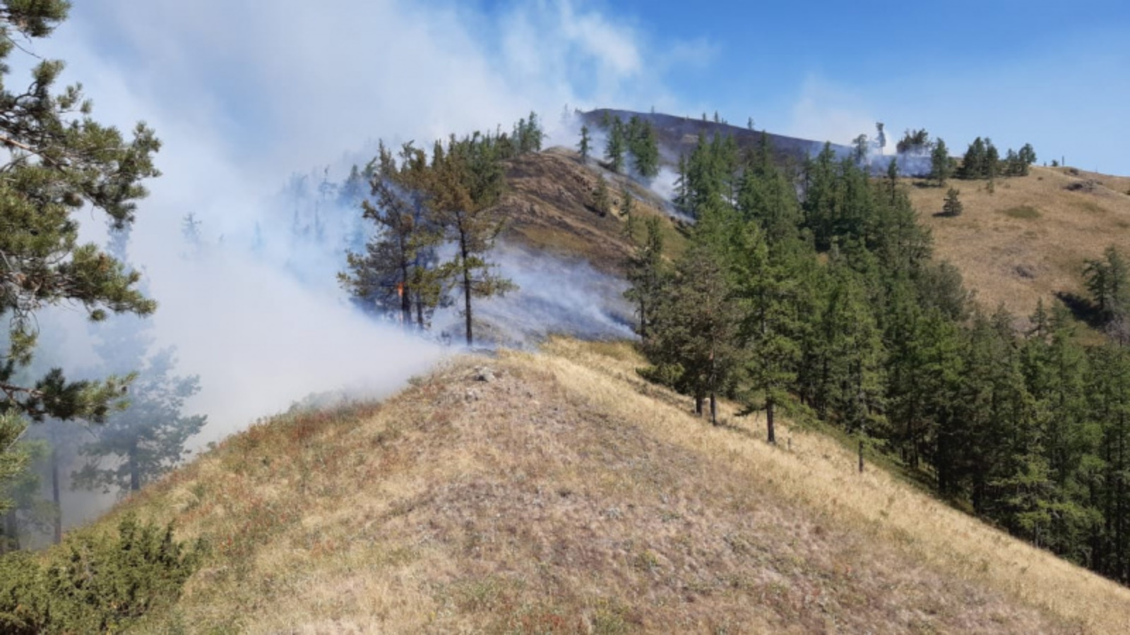 Фото со страницы Радия Хабирова в соцсети.