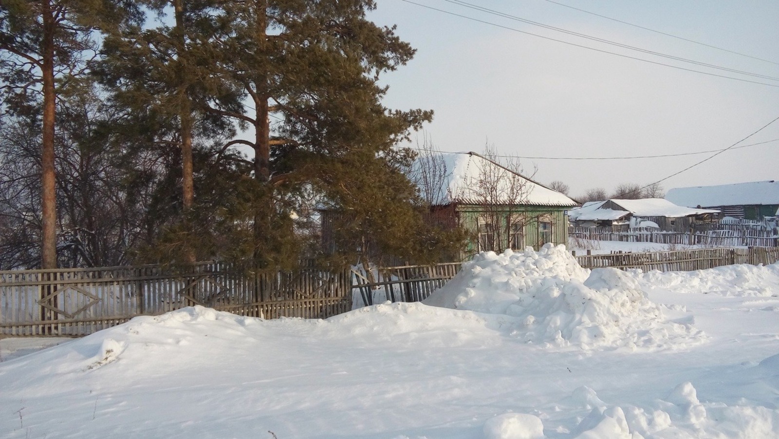 Евгении Сюткиной.