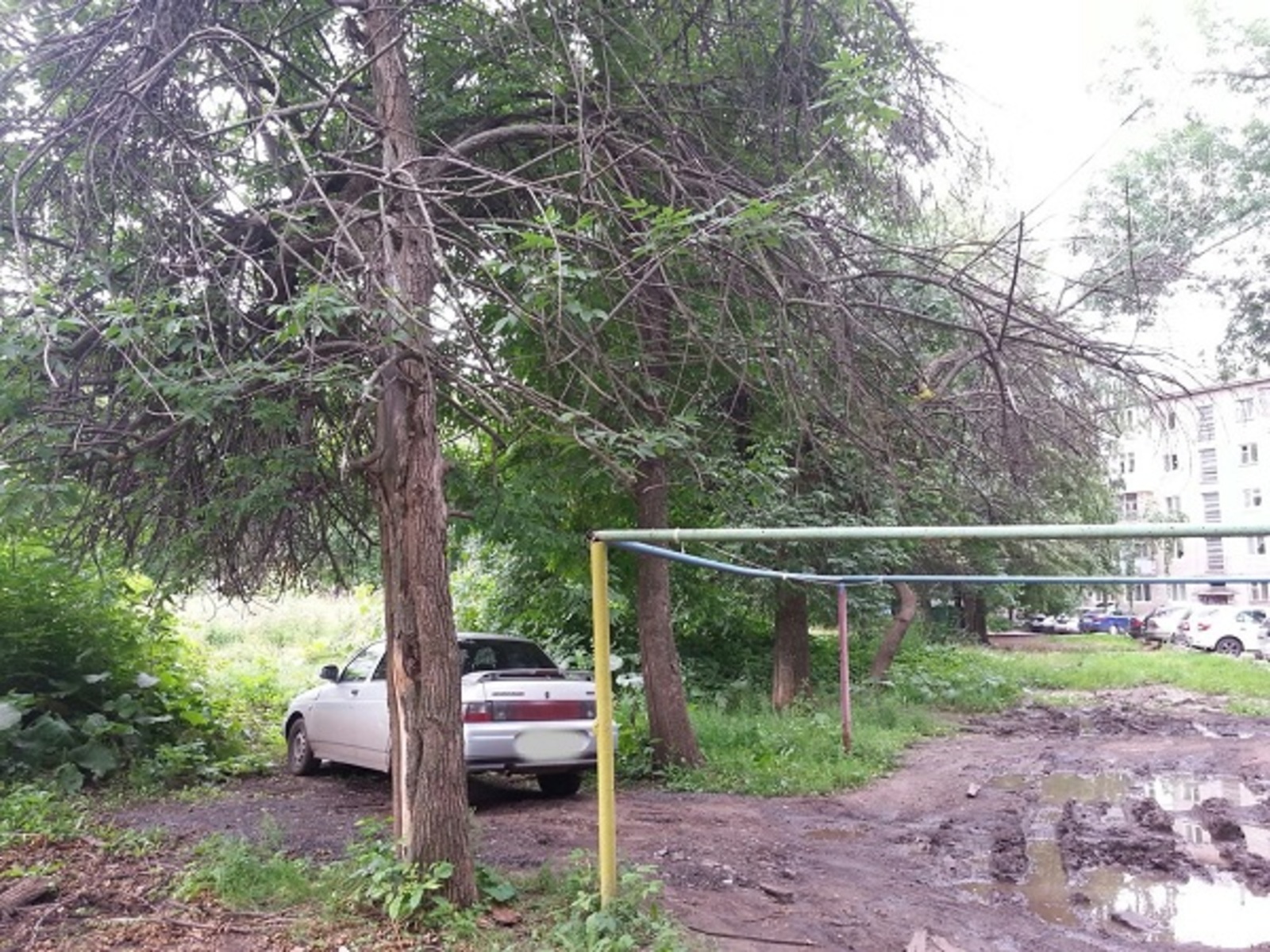 Фото автора.