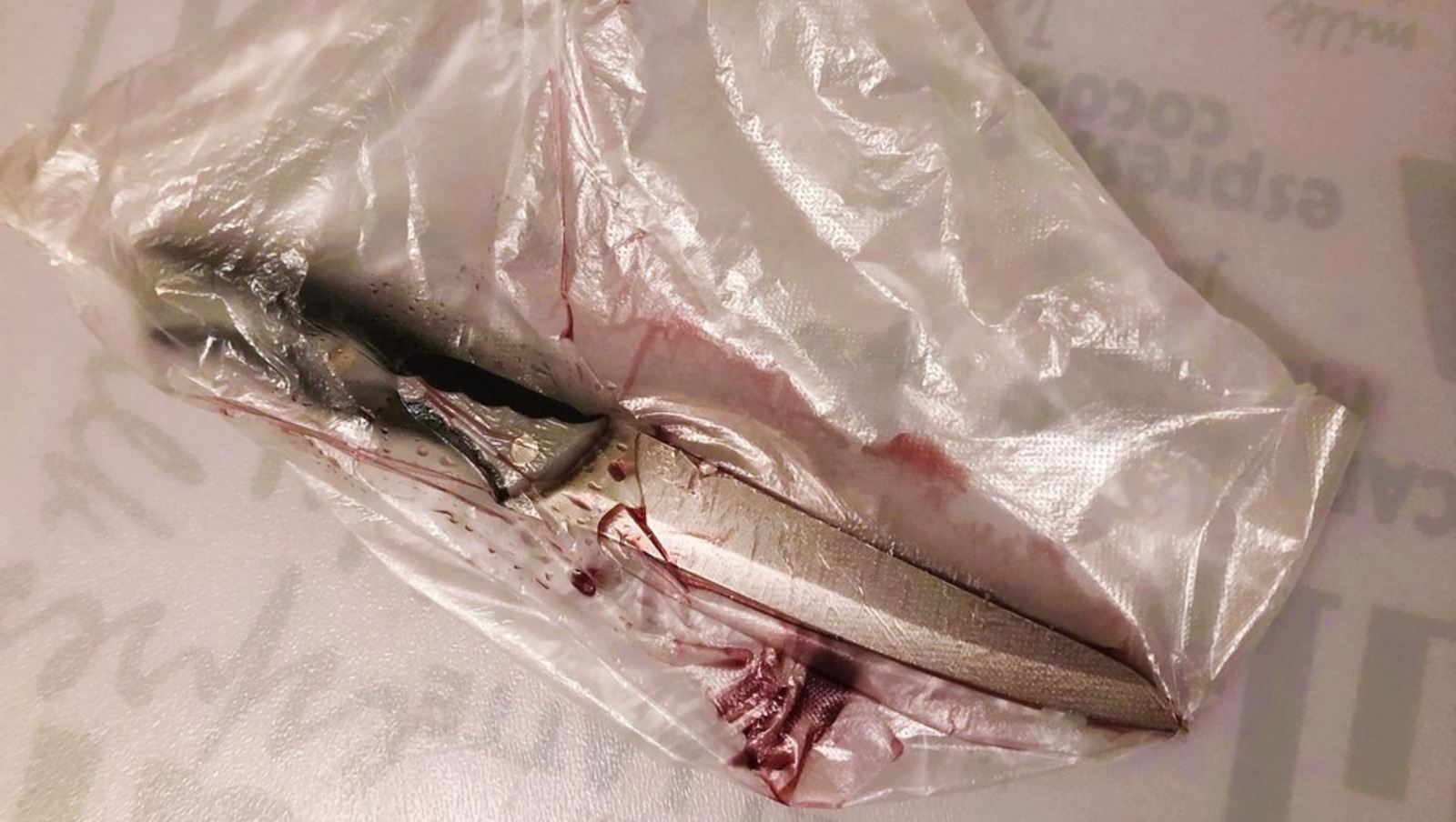 Елены Колоколовой.  «Общественная электронная газета».