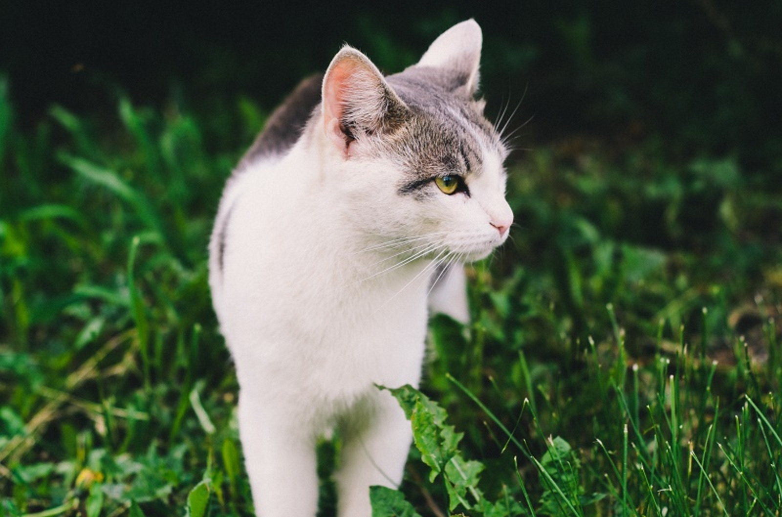 Фото автора.