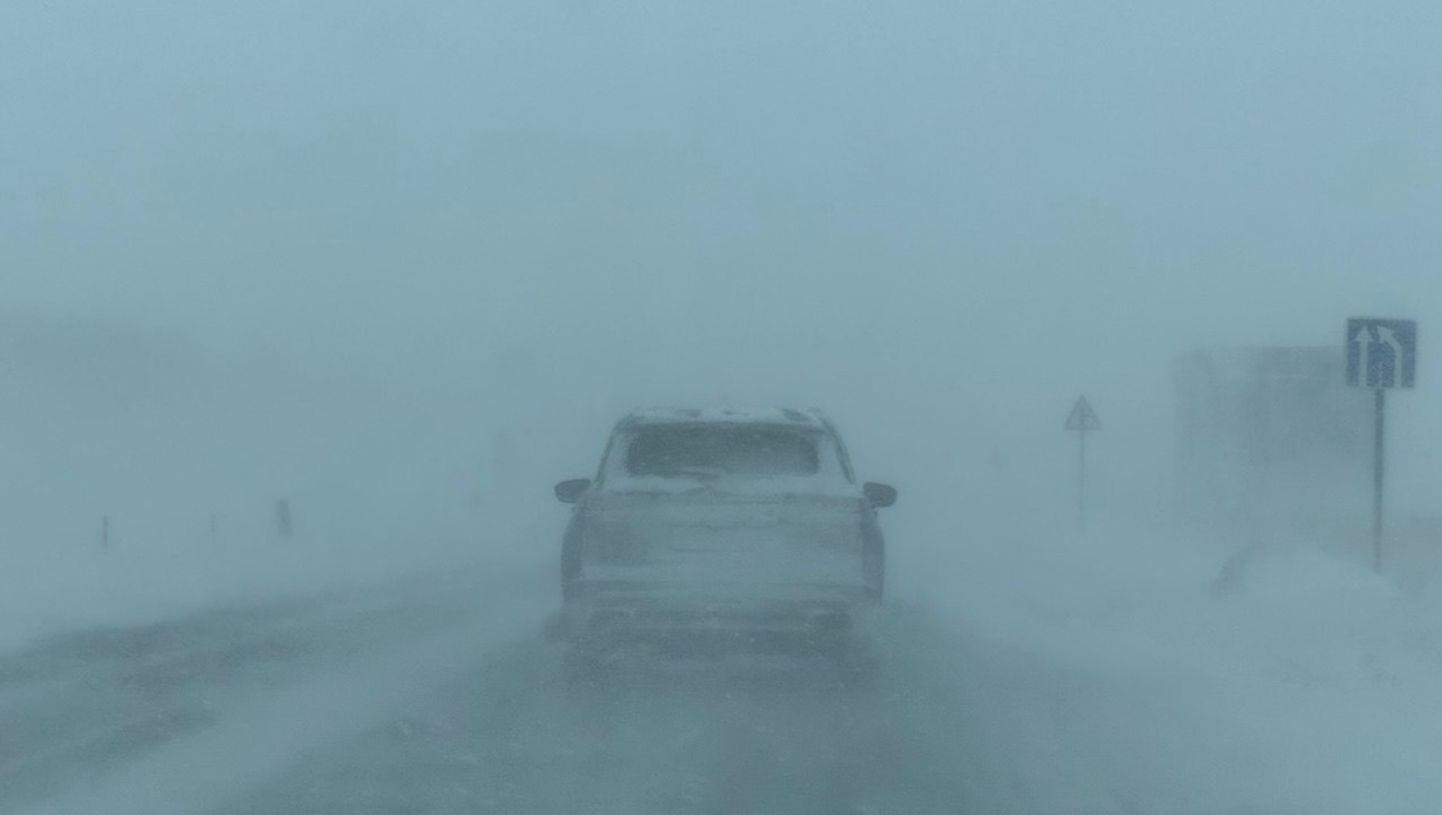 Елены Колоколовой. «Общественная электронная газета».