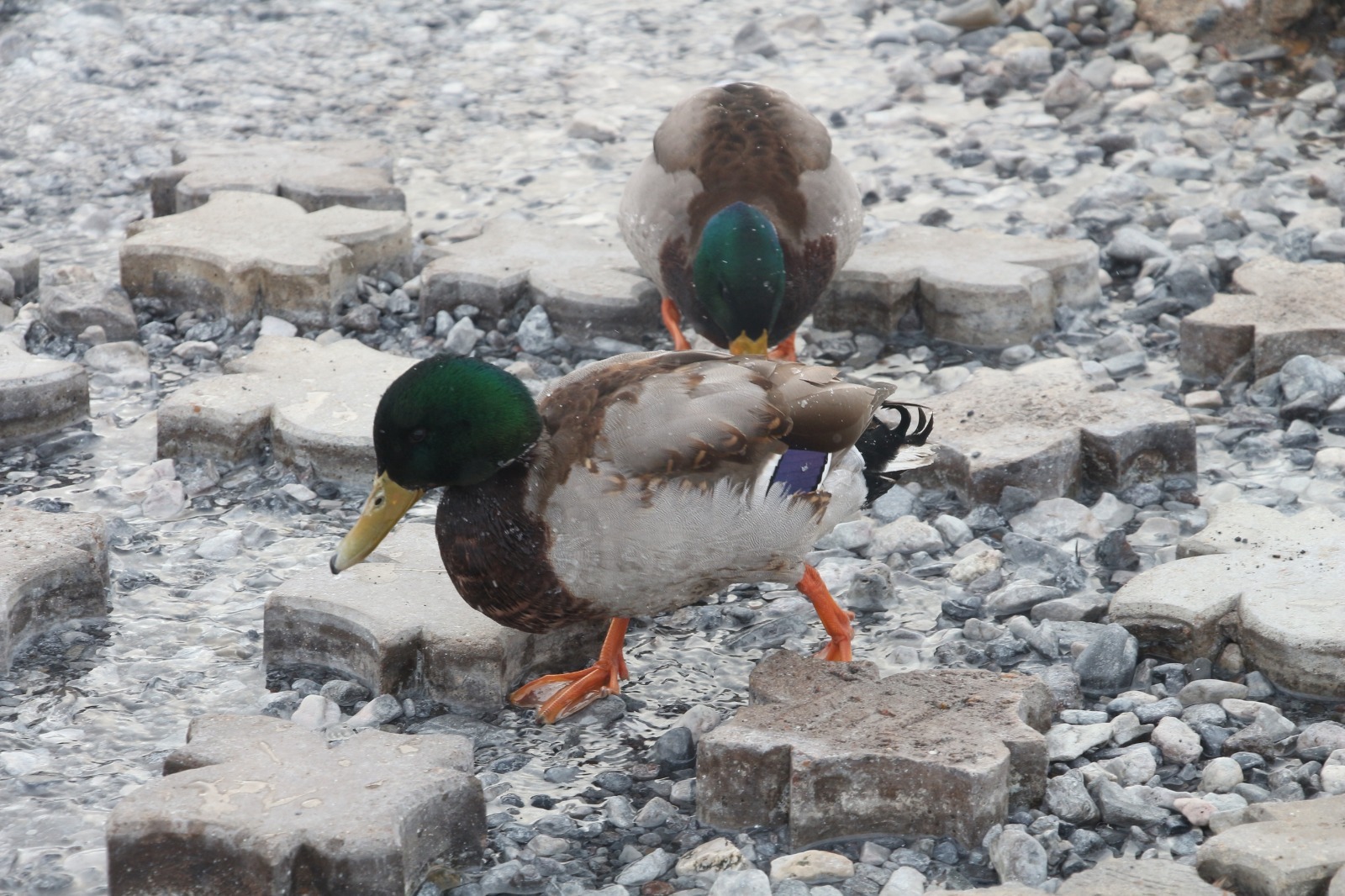 В январе и феврале погода в Башкирии будет аномальной