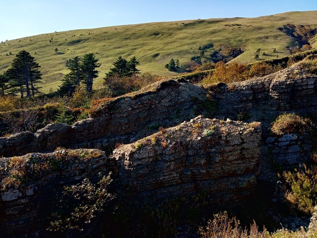 предоставлено Сергеем Сиротой.